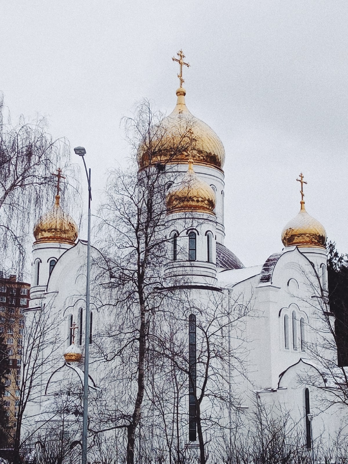 ???? Наталья Меняйлова — Краснознаменск