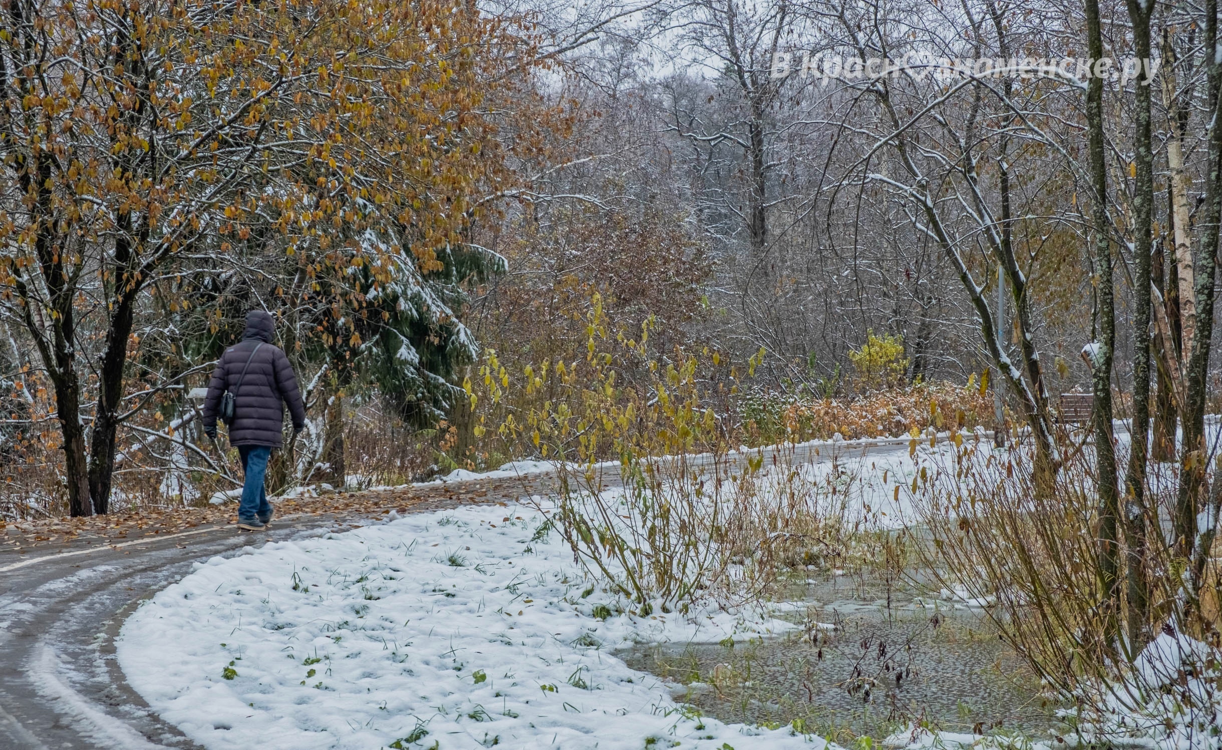 Прогулка по Городскому парку — Краснознаменск