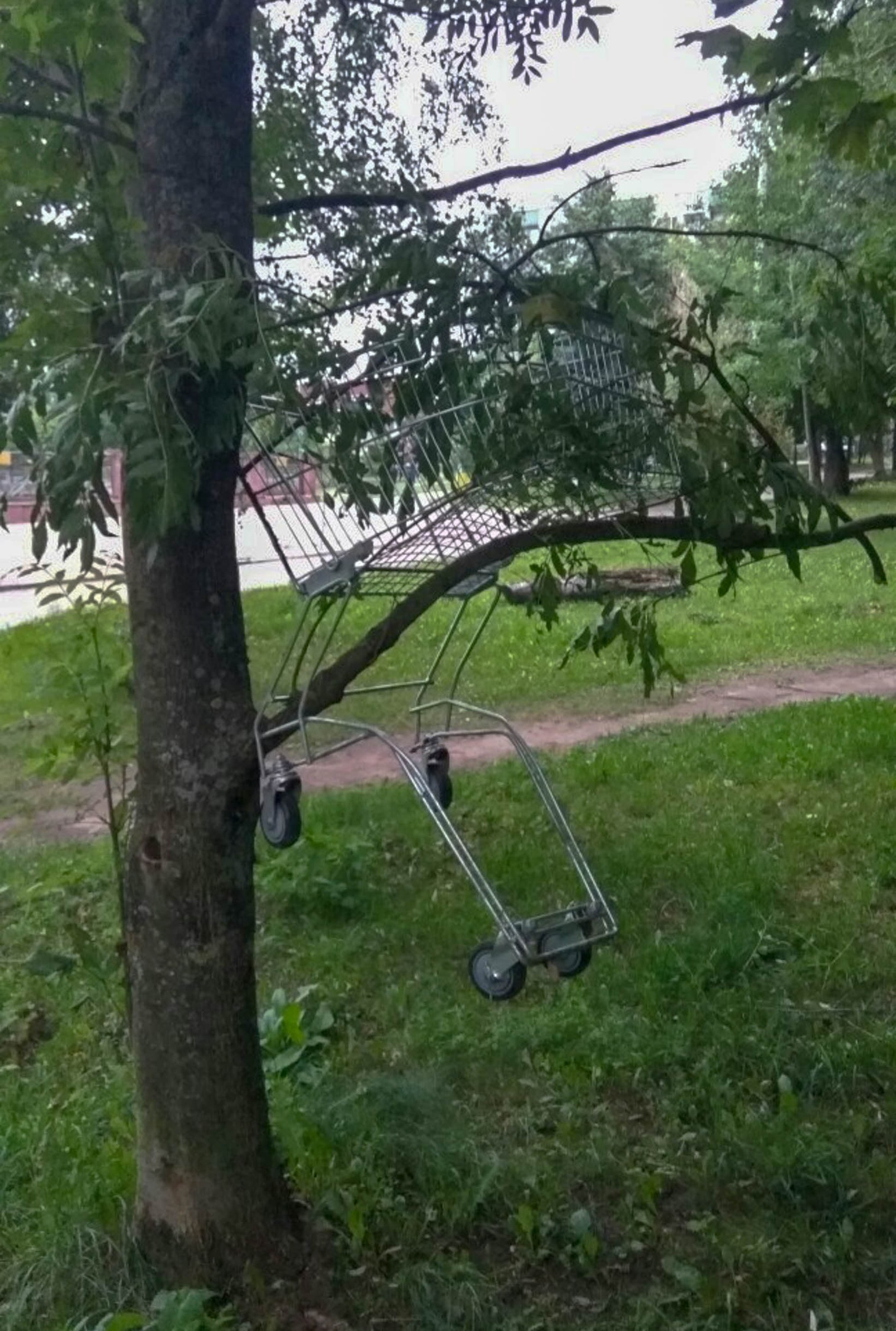 Что в городе происходит вообще?! Что с этими людьми не так? — Краснознаменск