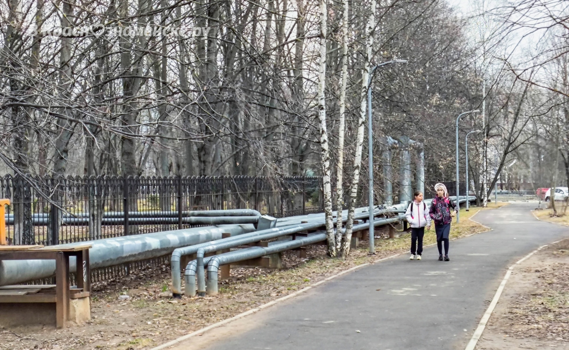 Доброе утро, Краснознаменск! Интересных вам выходных)
