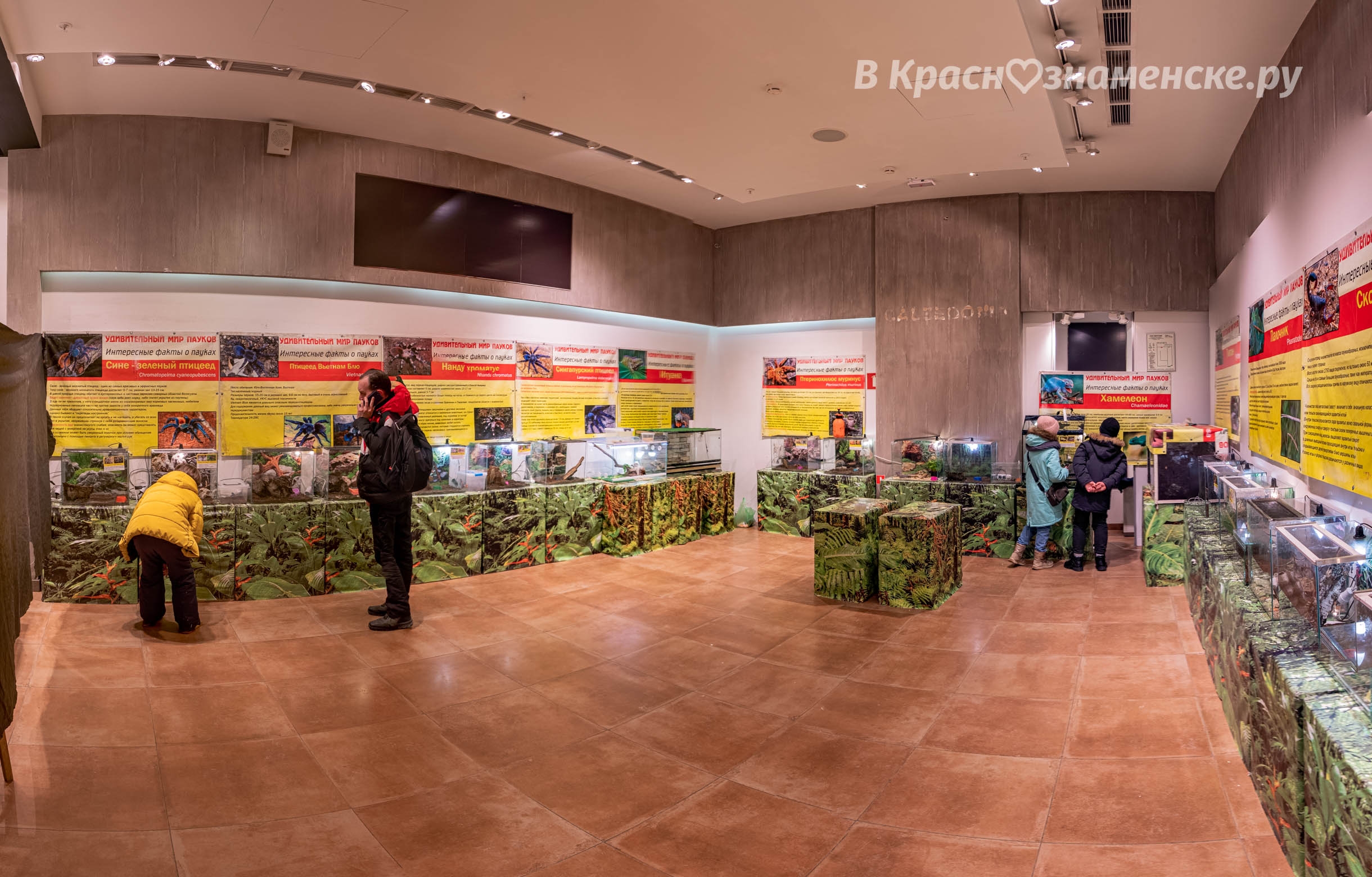 Быстрое меню — Краснознаменск