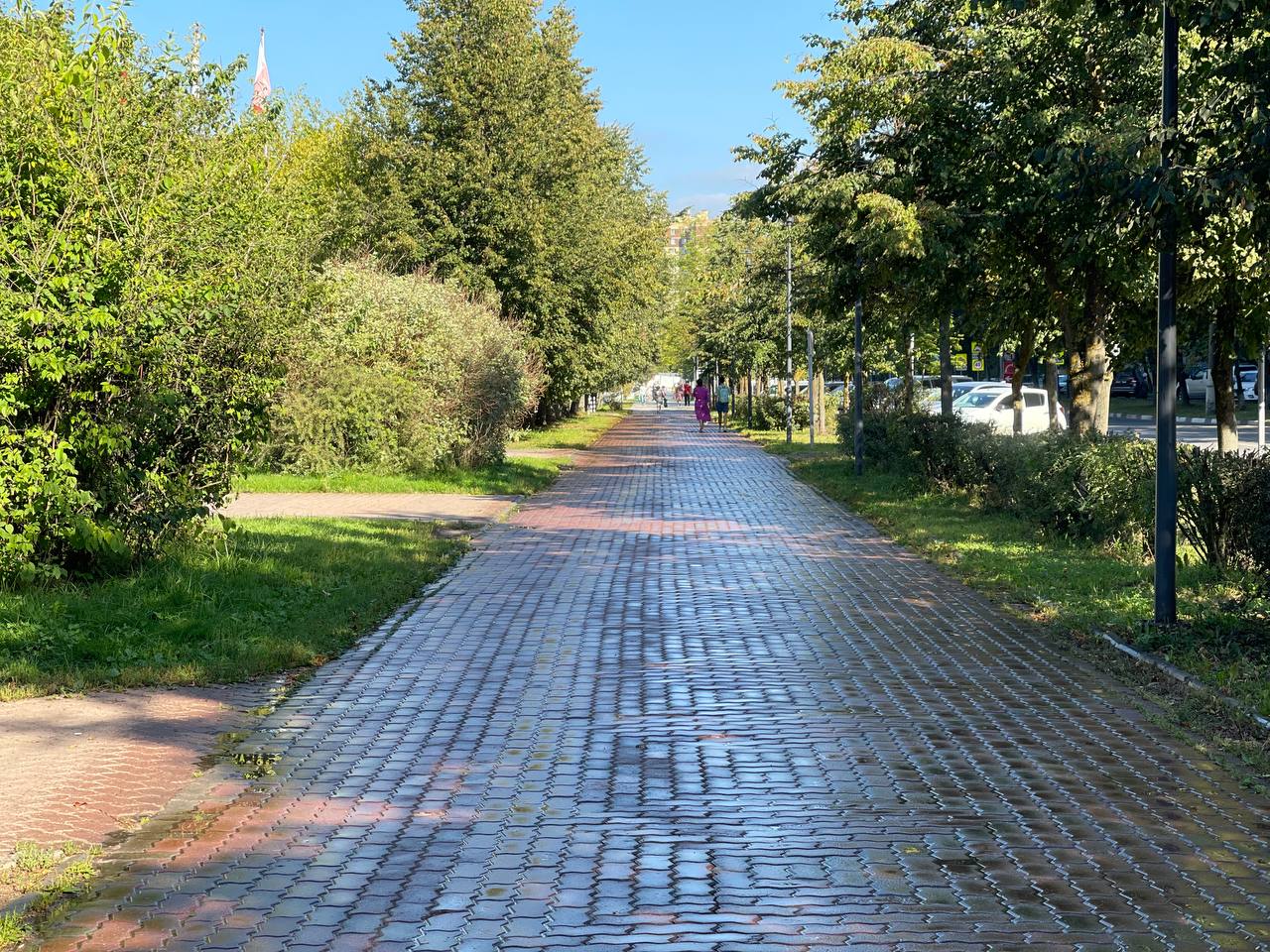 Прогулка по городу. — Краснознаменск
