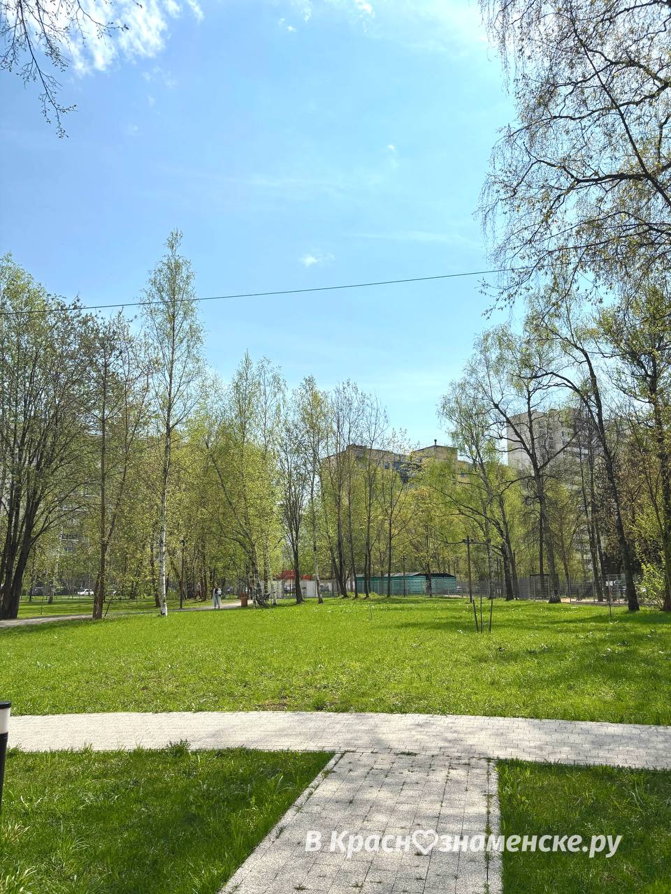 Небольшая прогулка по парку  *Краснознаменск в других соцсет