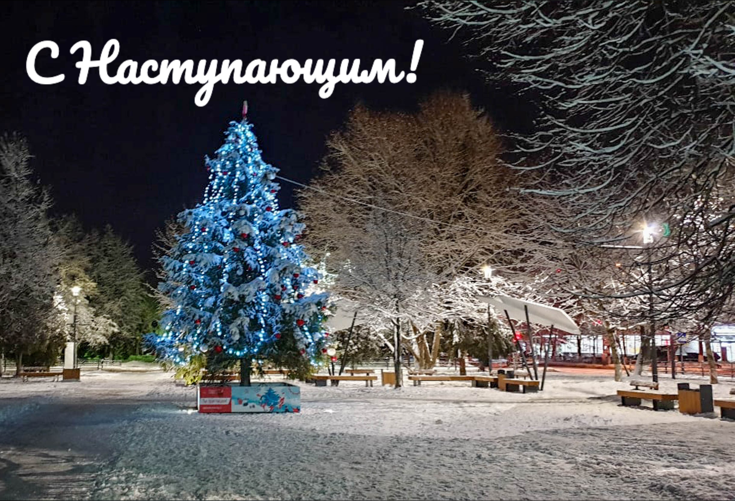 Фото 57074 — Краснознаменск