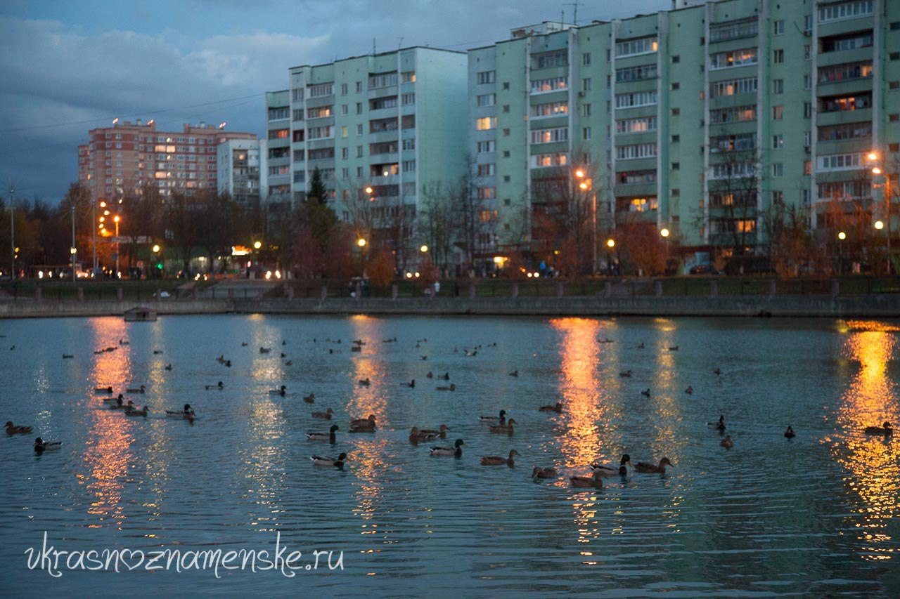 Быстрое меню — Краснознаменск