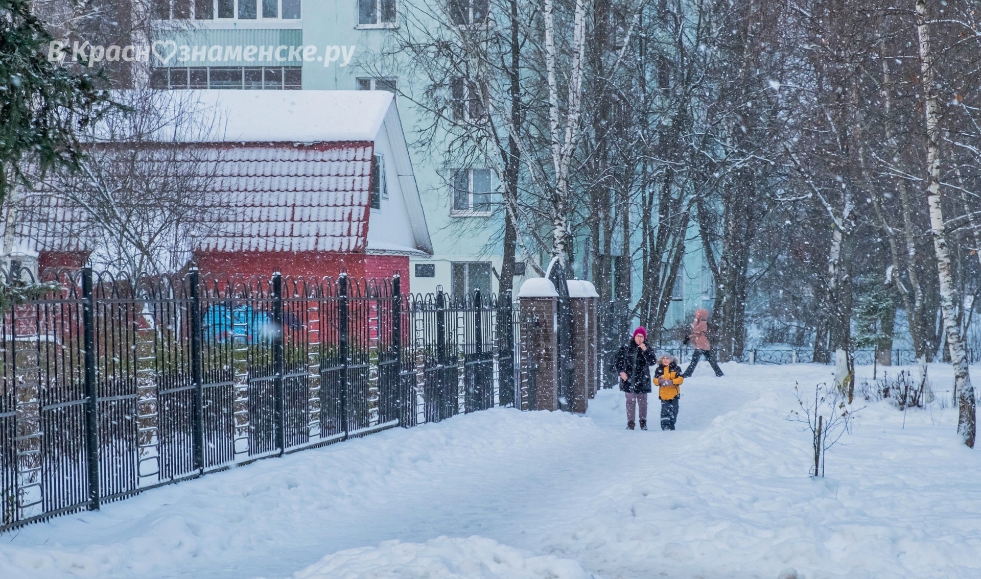 Немного освежающих зимних фото вам в этот жаркий день) — Краснознаменск