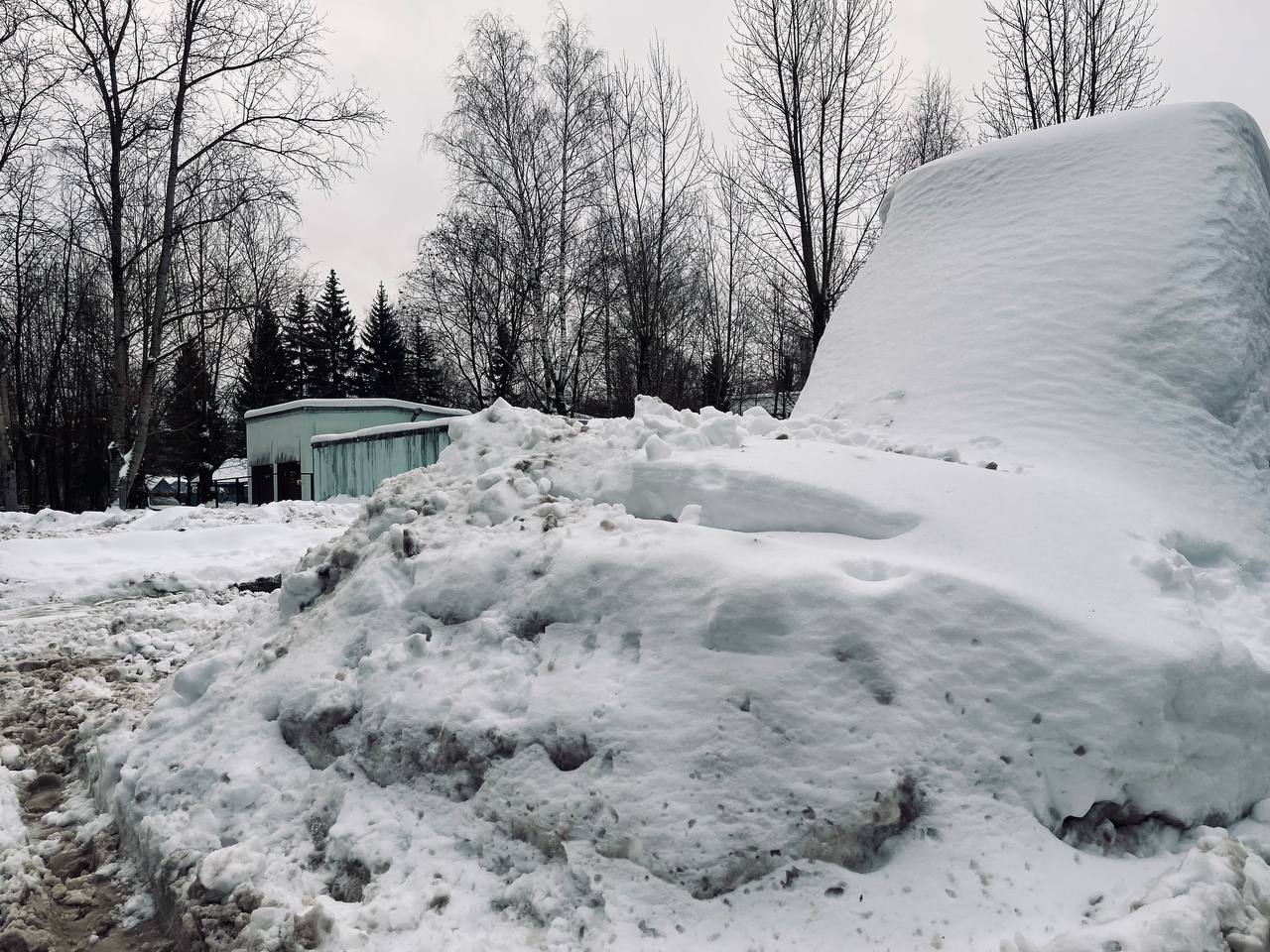 Подснежники — Краснознаменск