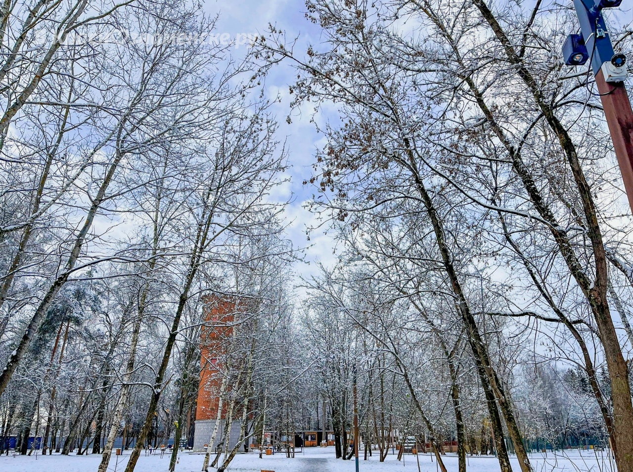 Независимо от погоды, Беличий парк сохраняет своё очарование