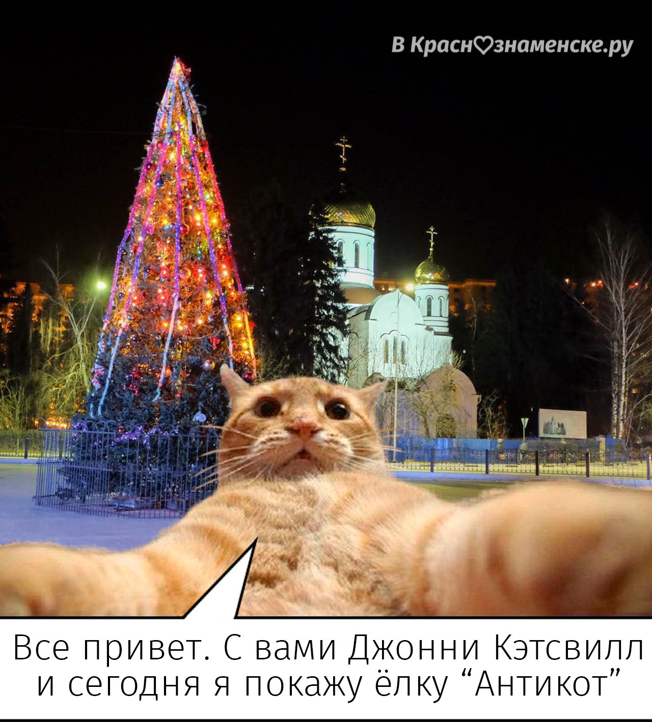 VK -27992616_153116