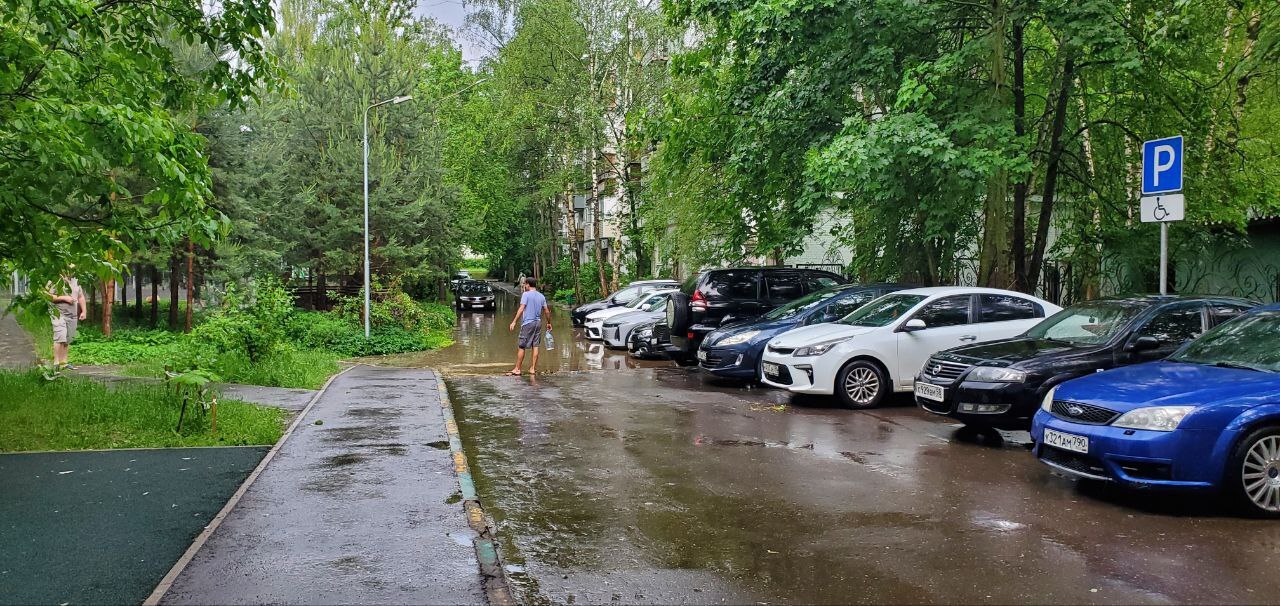 Мира 4 (C) Дмитрий — Краснознаменск