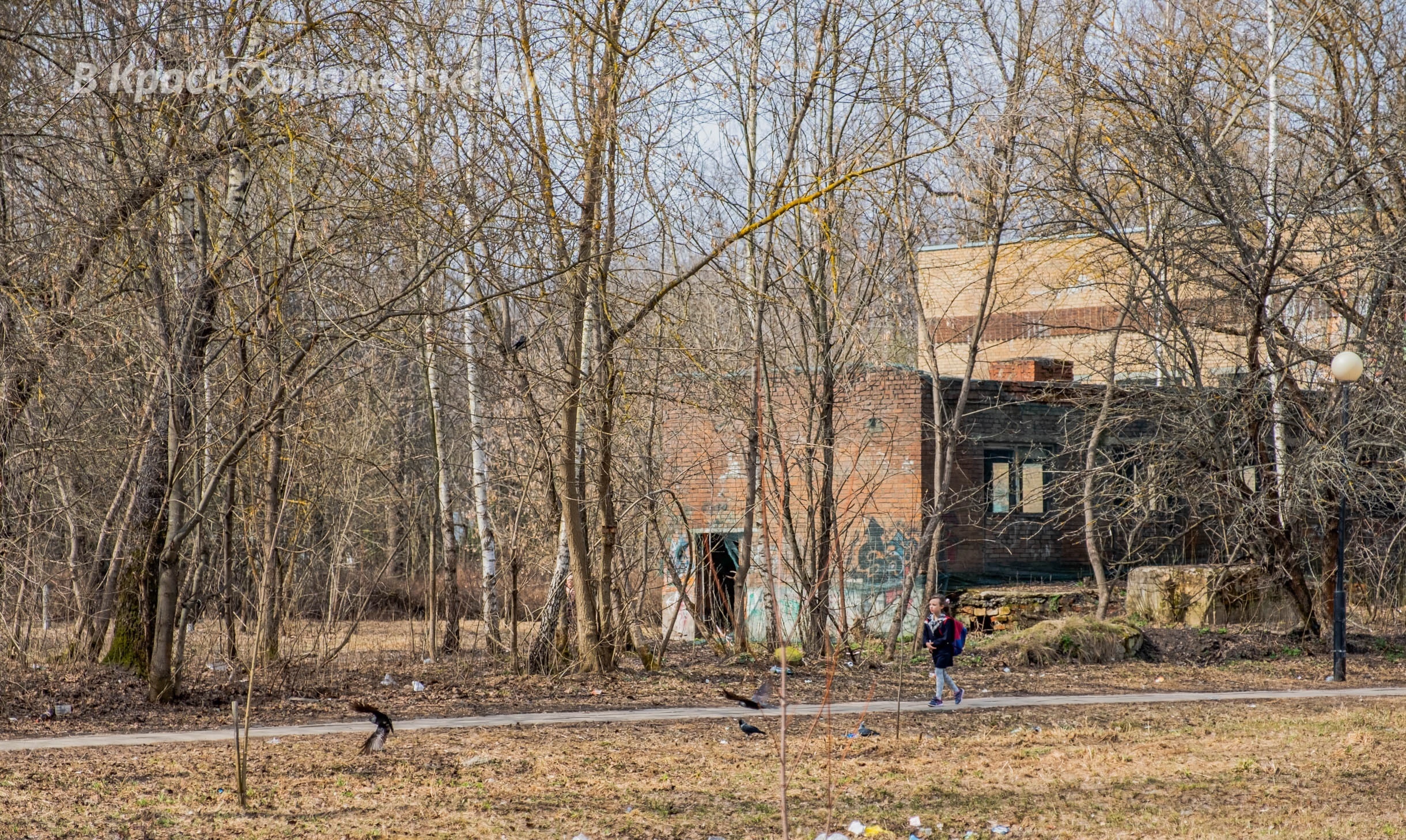 Фото 41202 — Краснознаменск