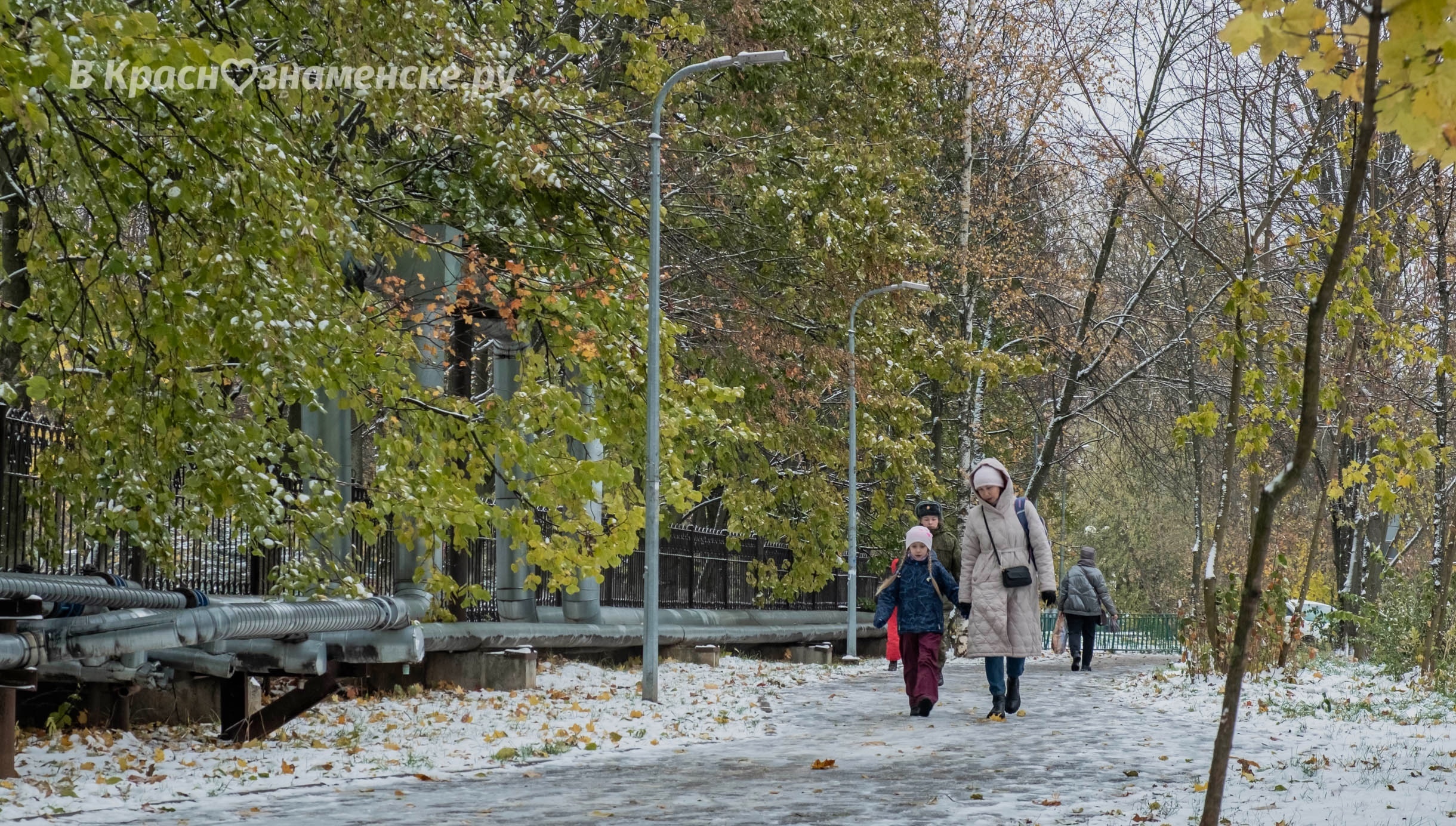 Первый снег на улицах Краснознаменска ❄️