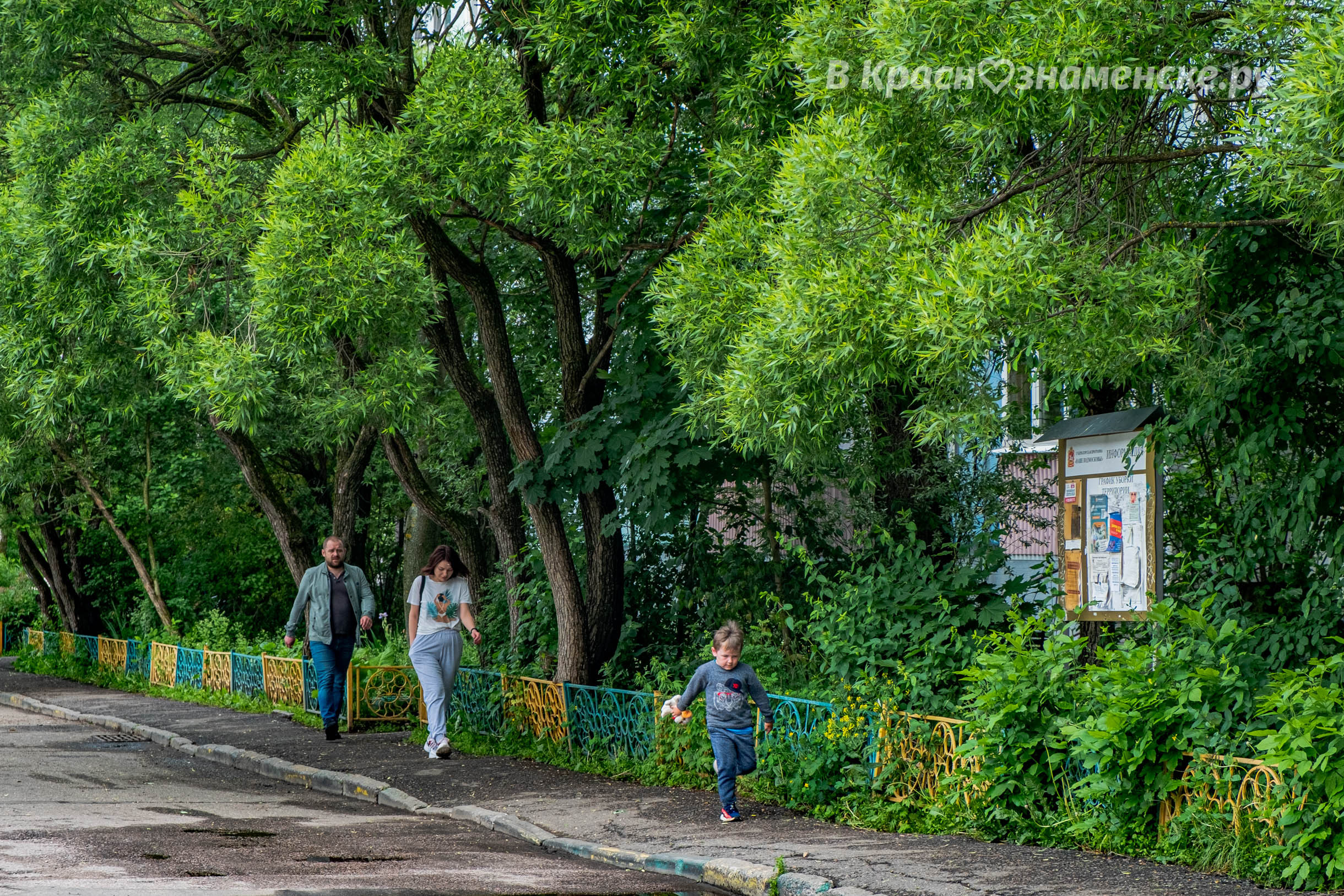 Прогулка по городу ???? — Краснознаменск