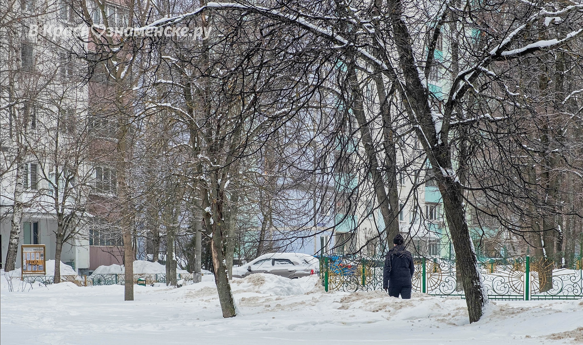 Прогулка по улицам Краснознаменска