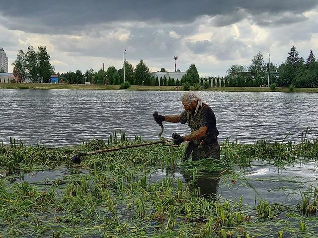 Пока ты на работе ???? _koshmar_igor_