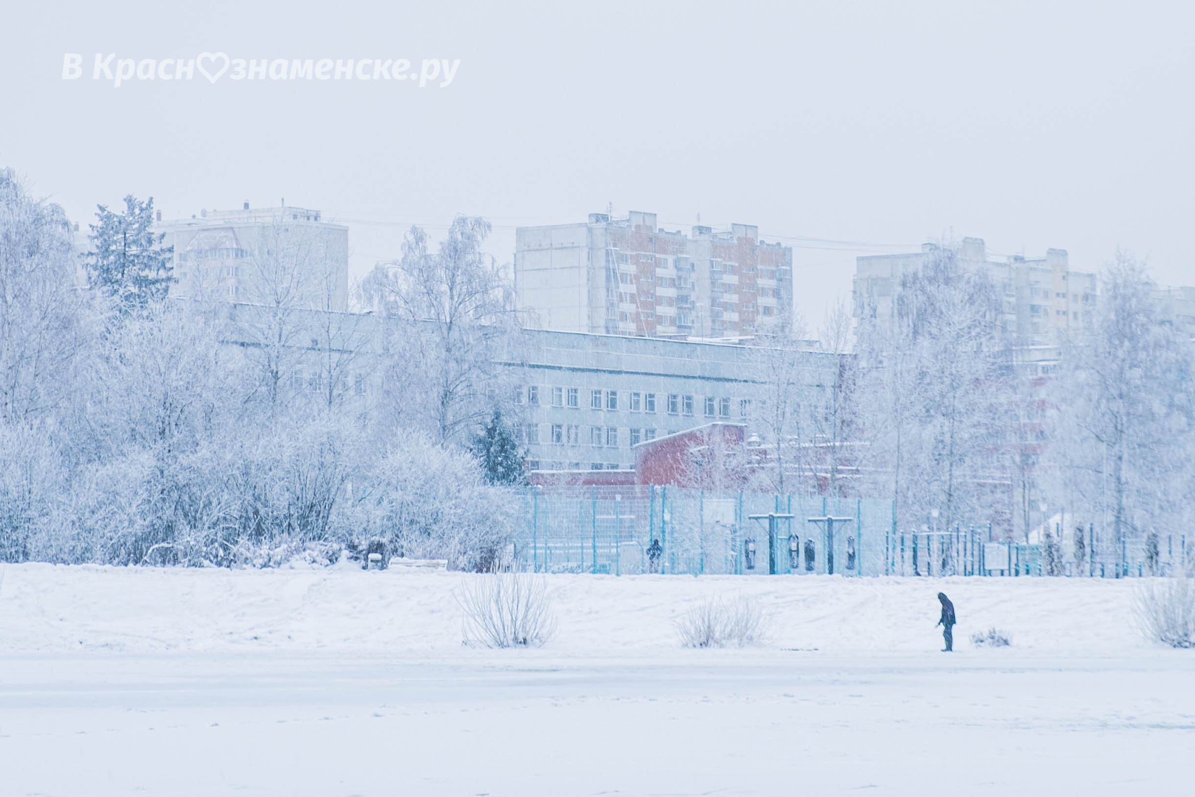 Волшебные зимние Краснознаменские пейзажи