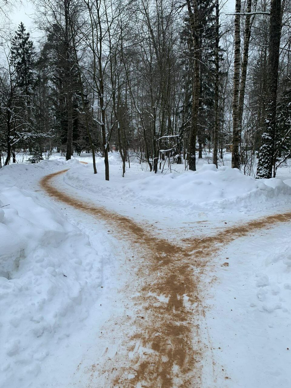 Спасибо за безопасность в городском парке!