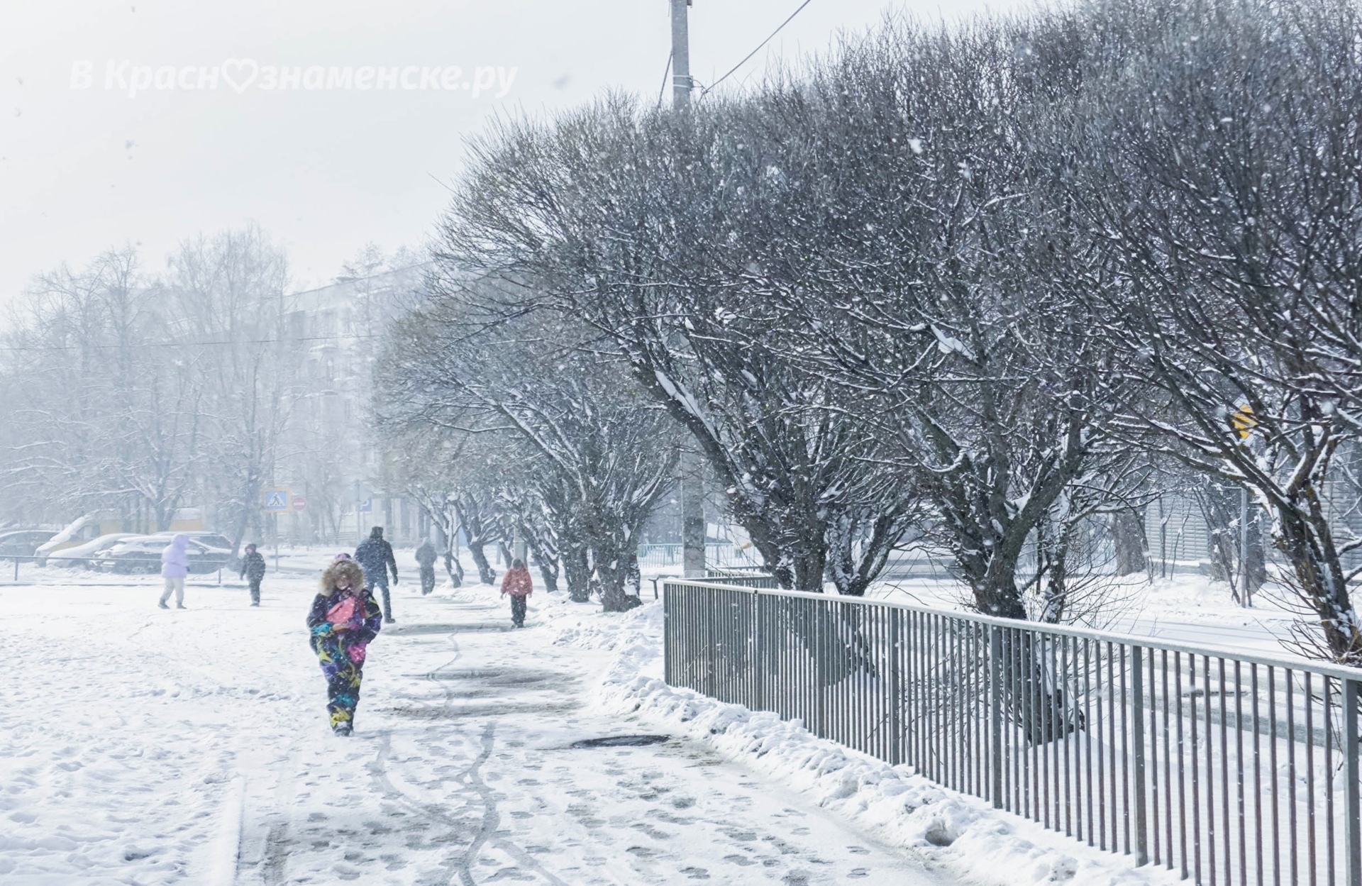Апрельский снегопад ❄️ — Краснознаменск
