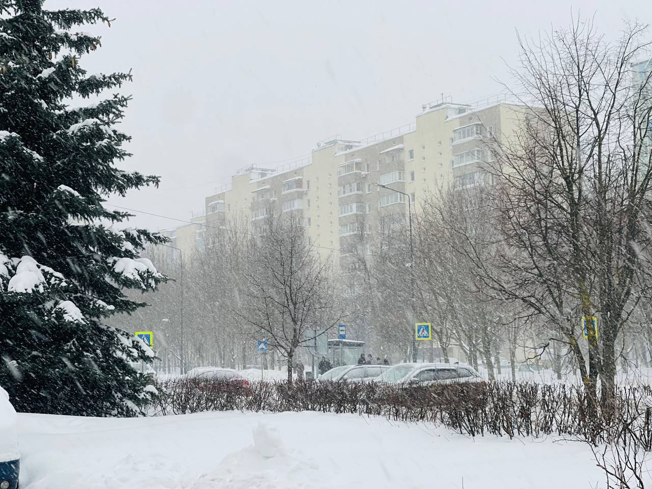 Прогулка по городу. — Краснознаменск