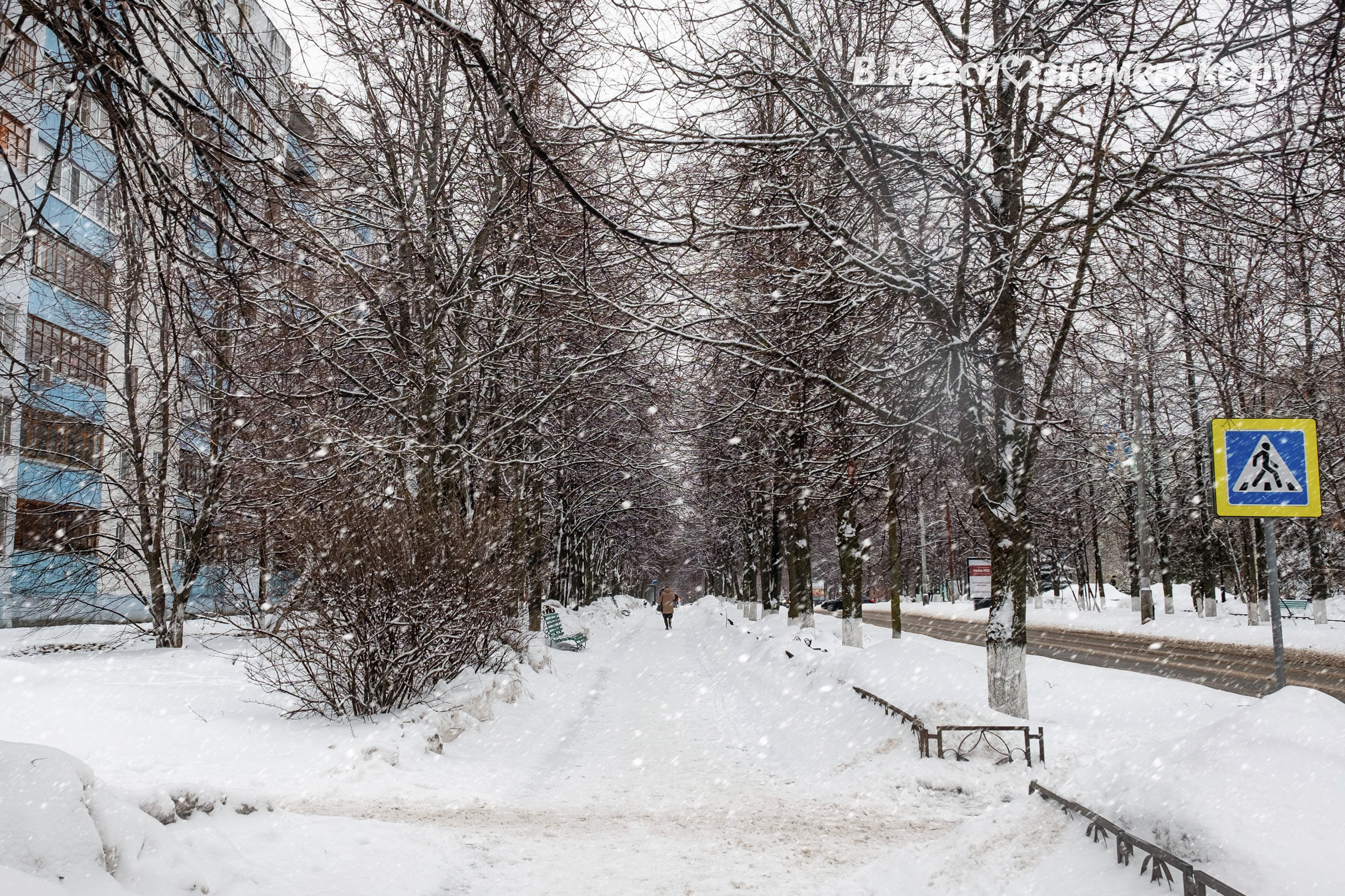 Доброе утро, Краснознаменск! Утром +1°… +4°, Дождь со снегом