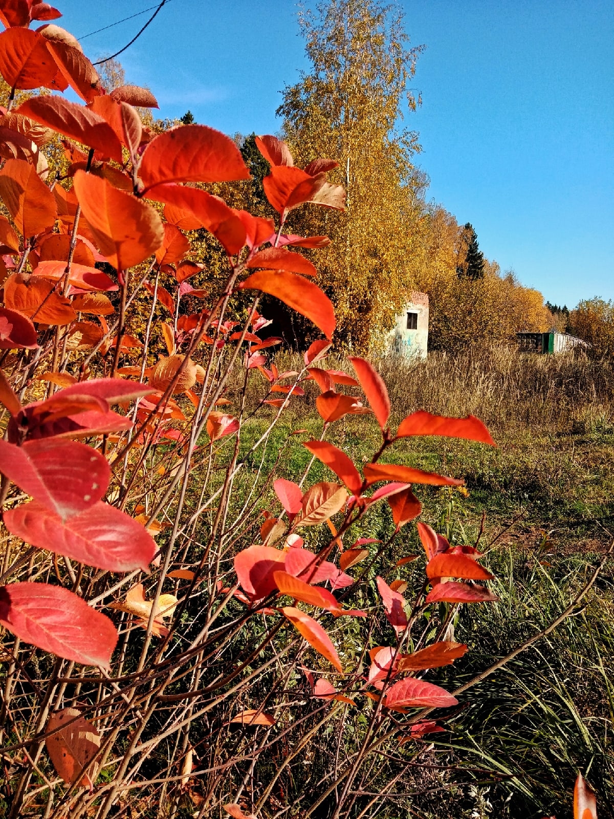 Воскресное утро в Краснознаменске.