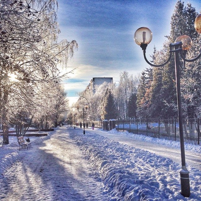Автор фотографии sergshu — Краснознаменск
