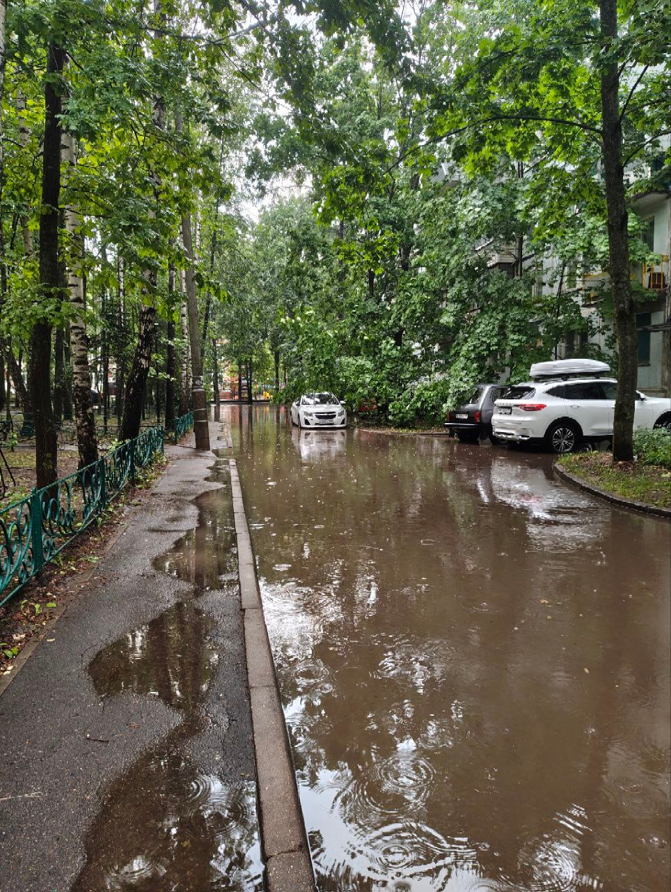 Мира 4, 6. Комсомольский бульвар