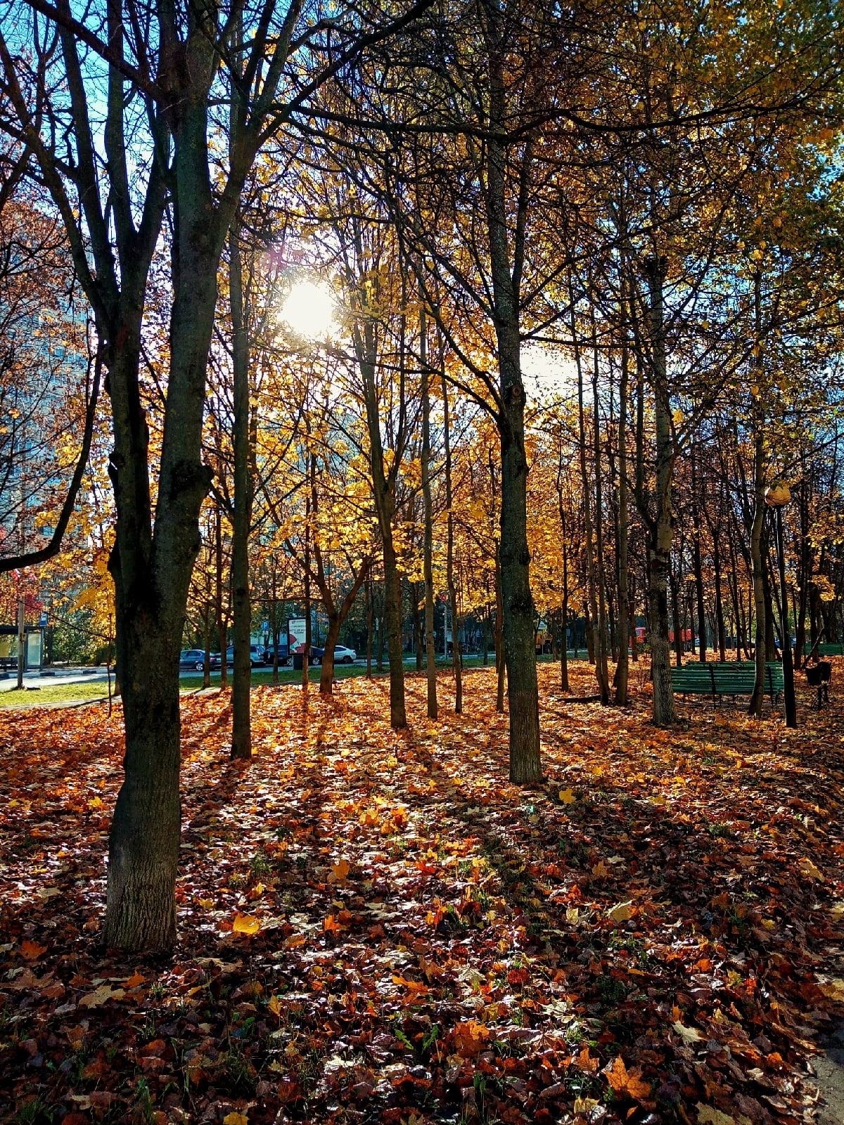 Утро в Краснознаменске.