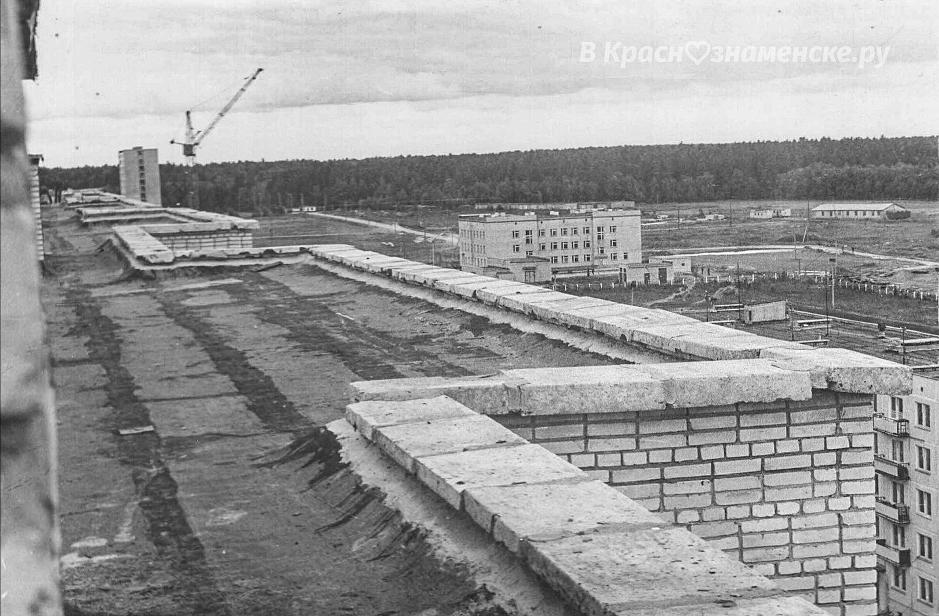 Фото 48978 — Краснознаменск