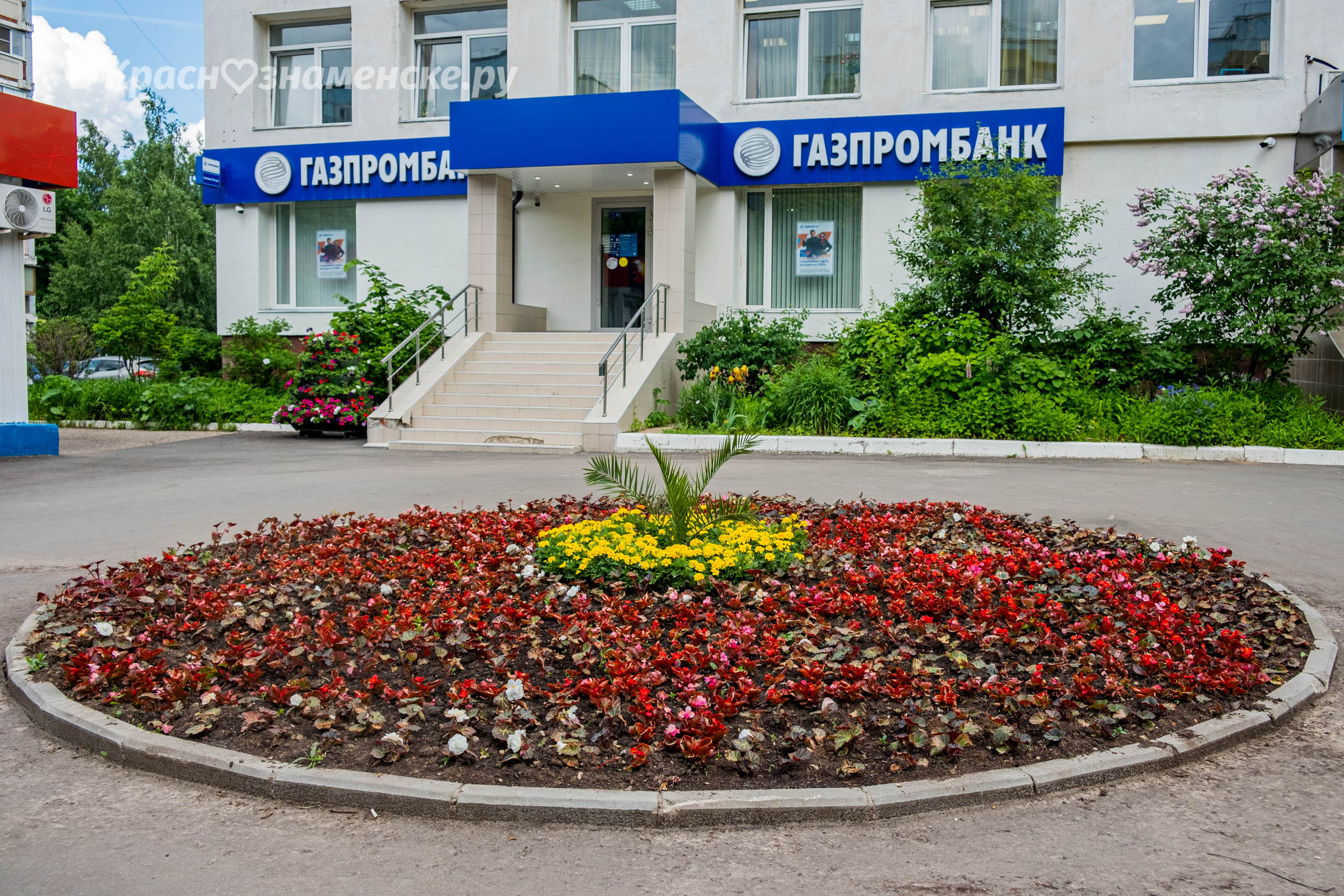 На клумбе у городской библиотеки, замечено растение не по кл