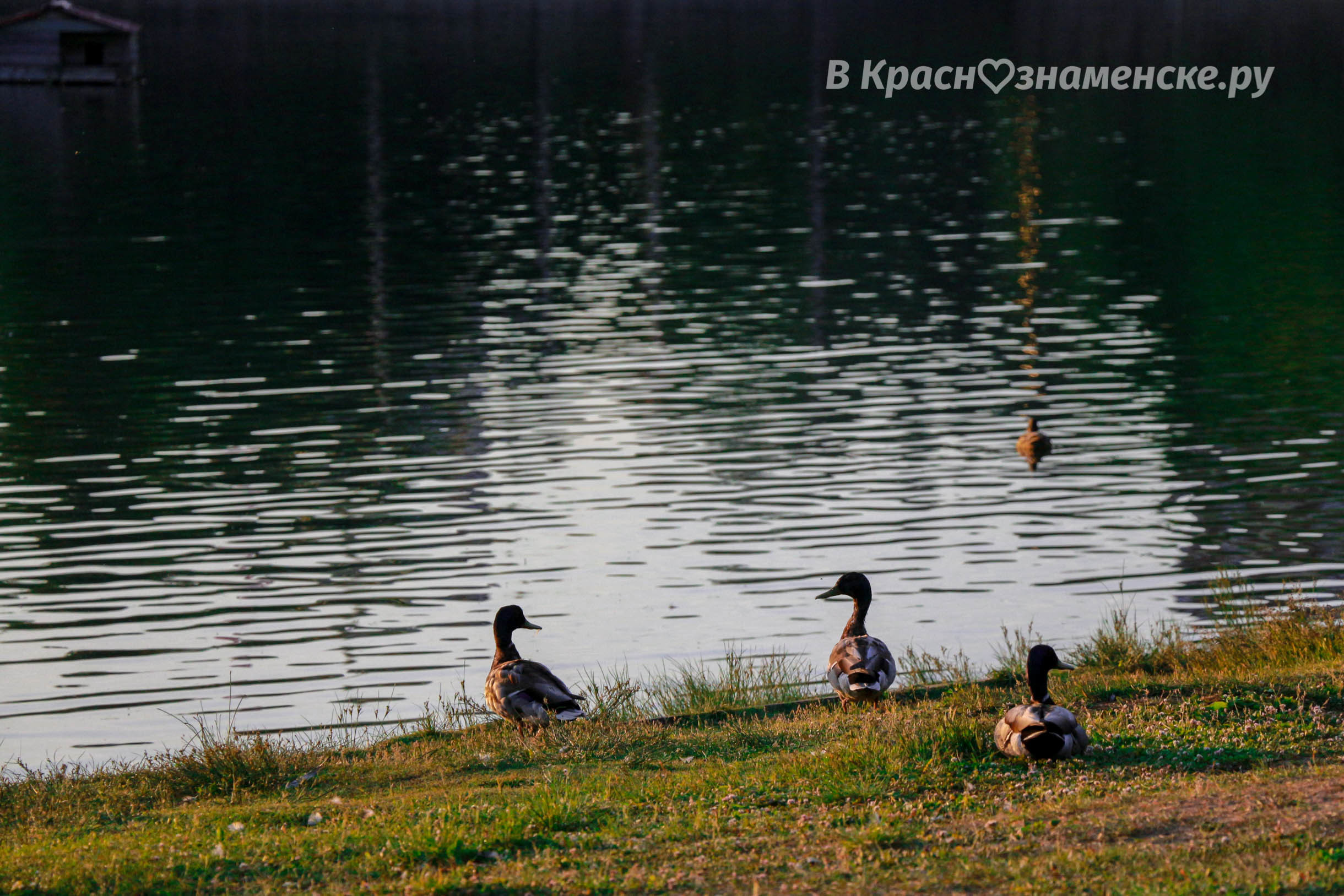 Фото 53811 — Краснознаменск