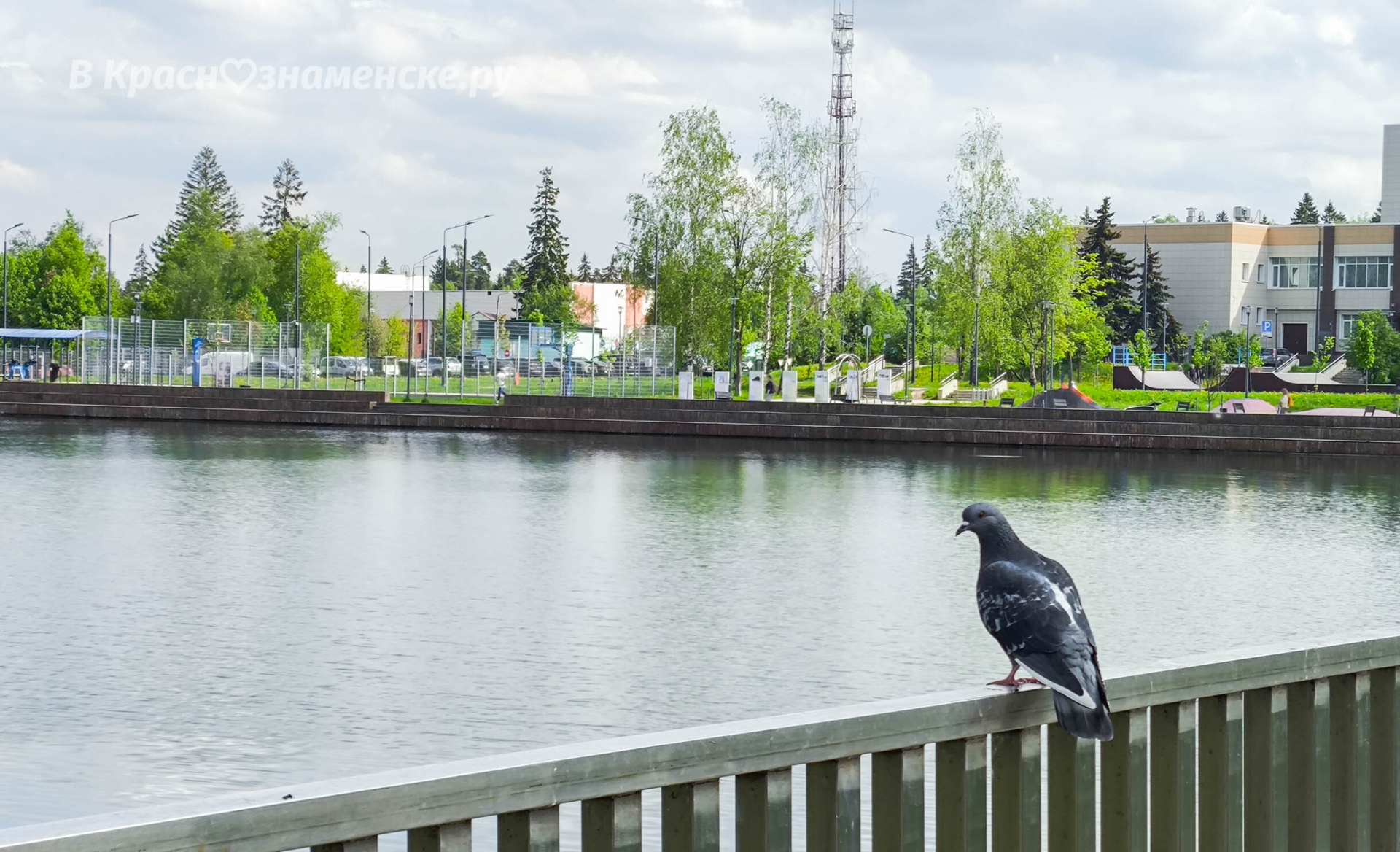 Фото 42639 — Краснознаменск