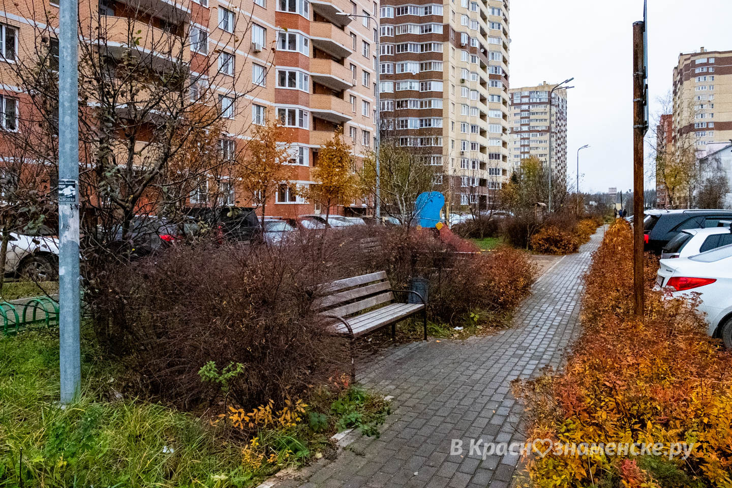Доброе утро, Краснознаменск! Утром, 0°…+1°, Небольшой снег,