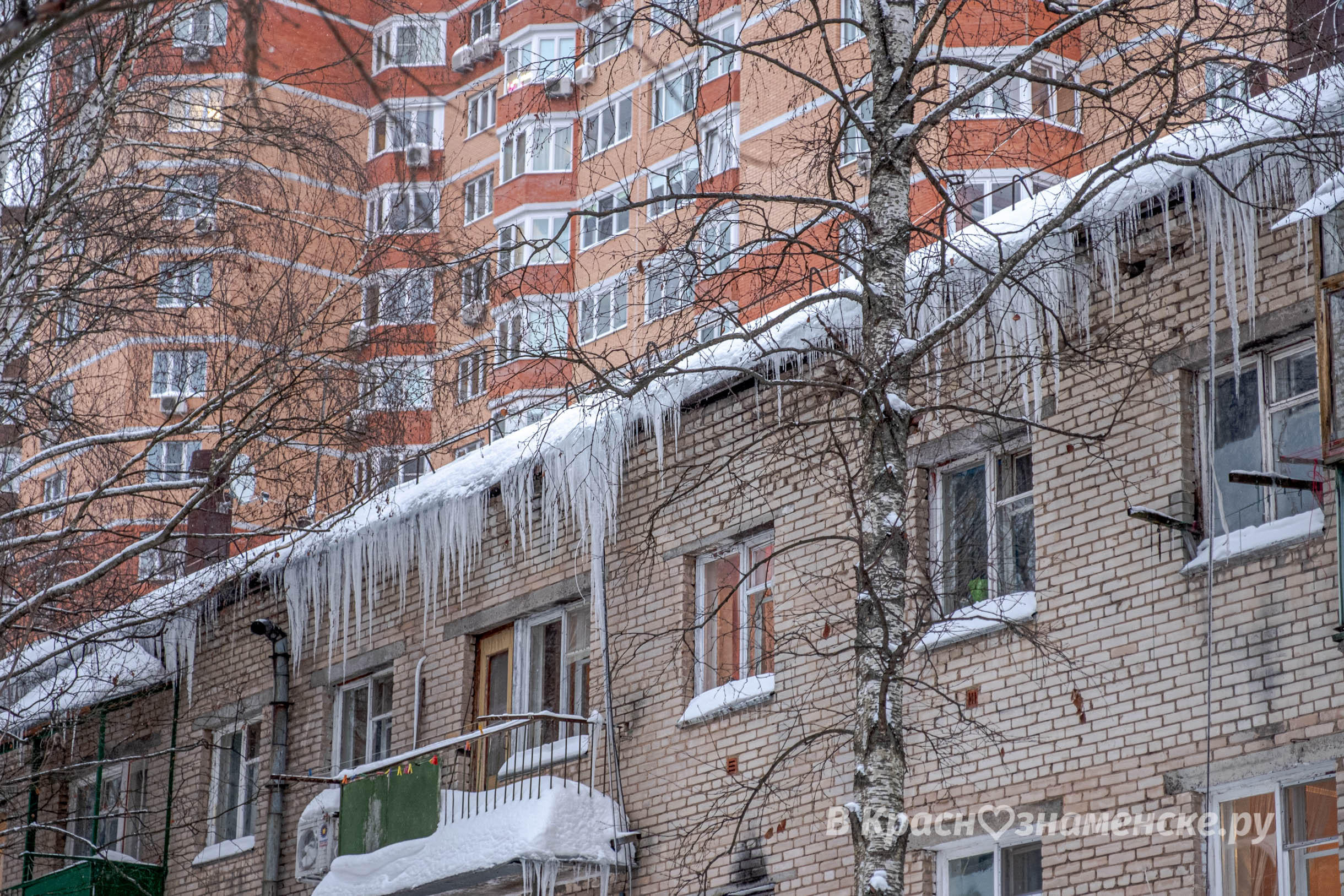 Фото 41945 — Краснознаменск