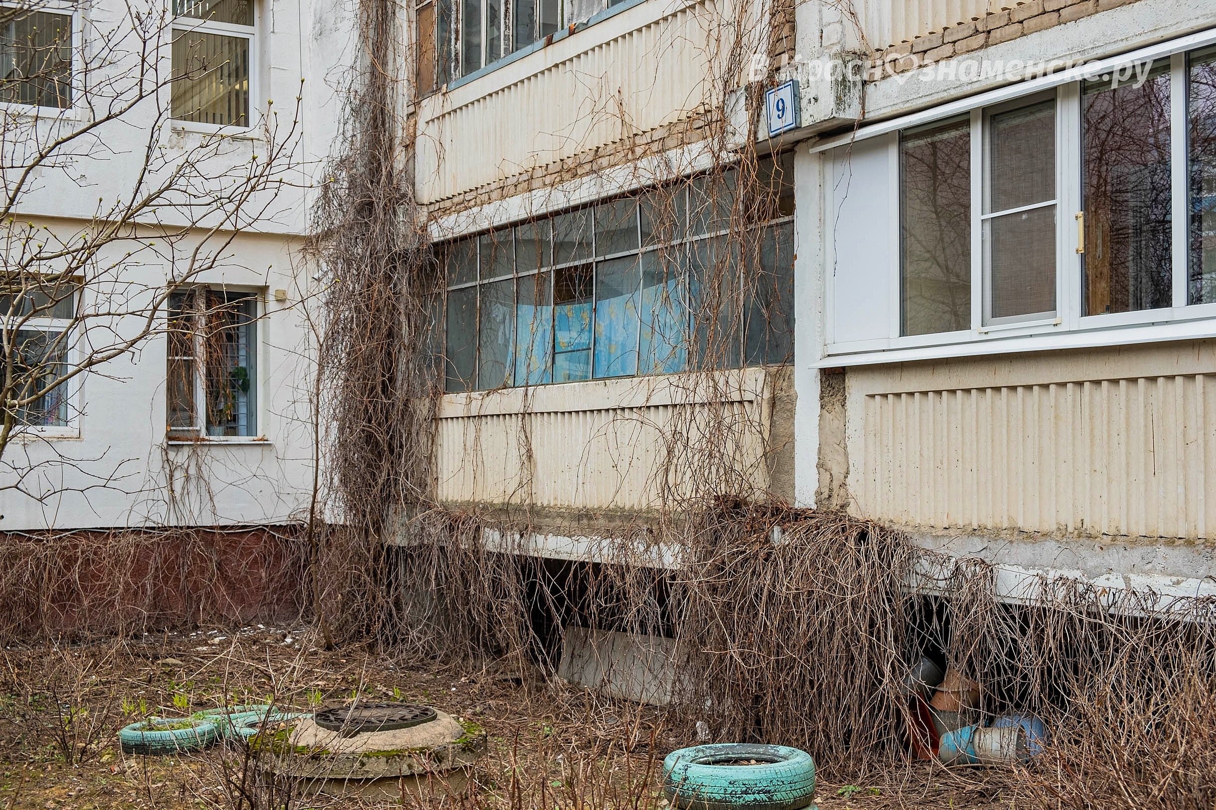 Фото 37582 — Краснознаменск