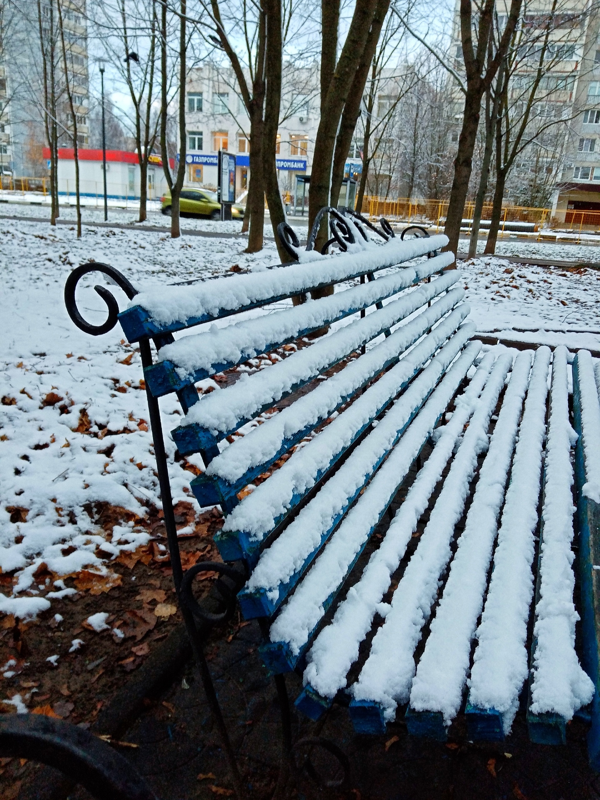 Прогулка по городу. — Краснознаменск