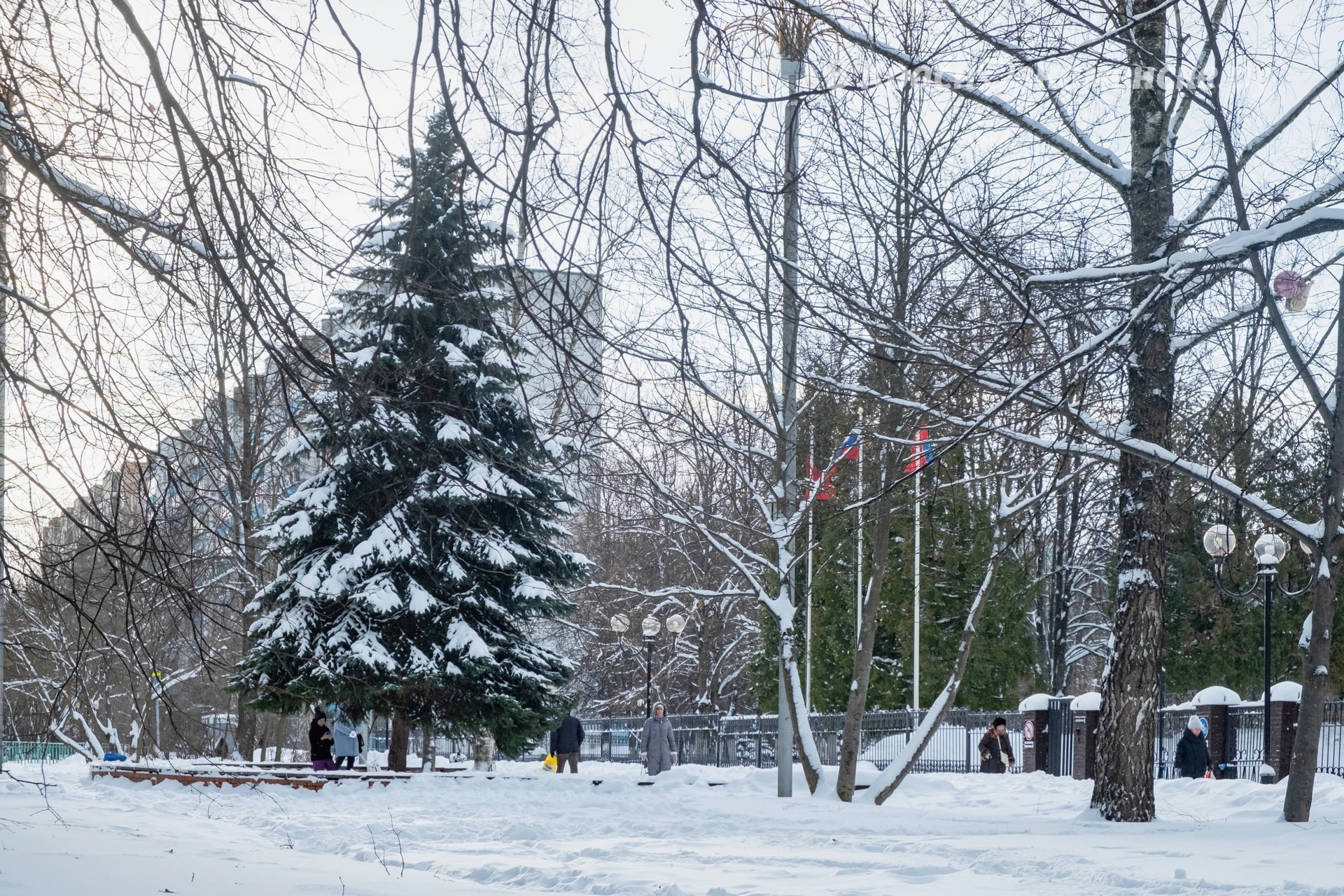 Фото 42026 — Краснознаменск