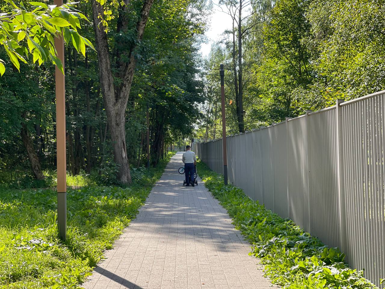 Прогулка по городу. — Краснознаменск