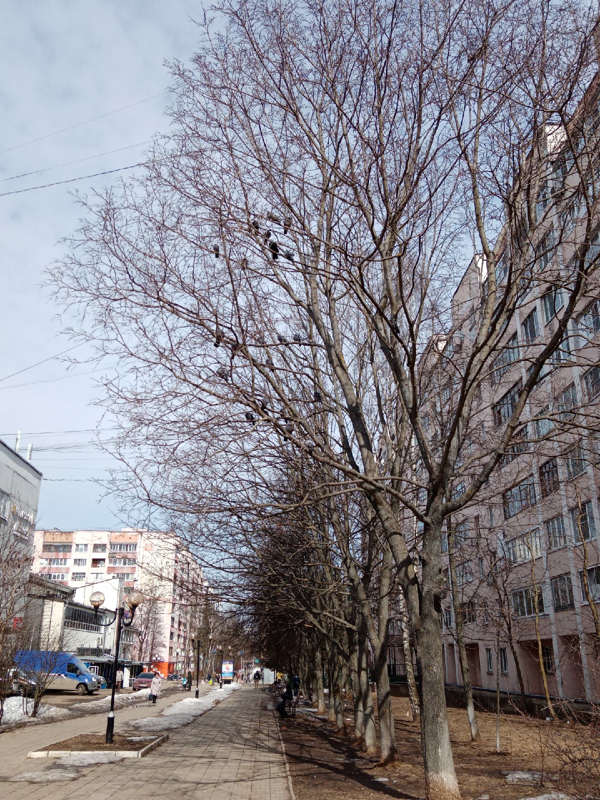 ???? Наталья Меняйлова — Краснознаменск