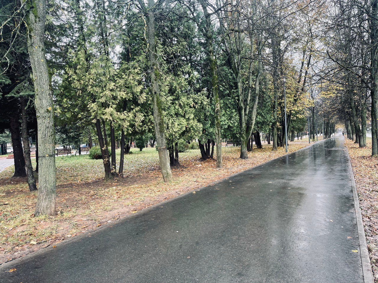 Прогулка по городу
