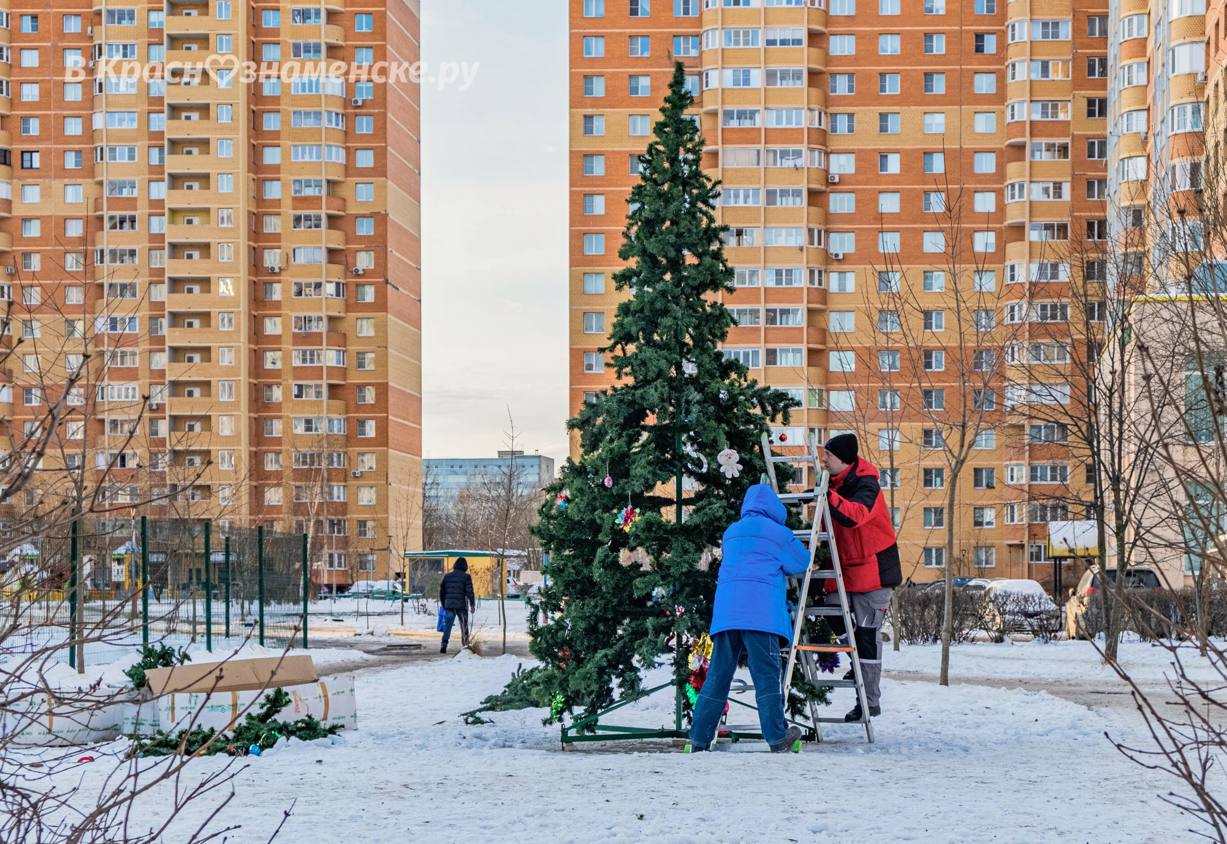 В некоторых дворах города уже начинают наряжать ёлочки. Сего