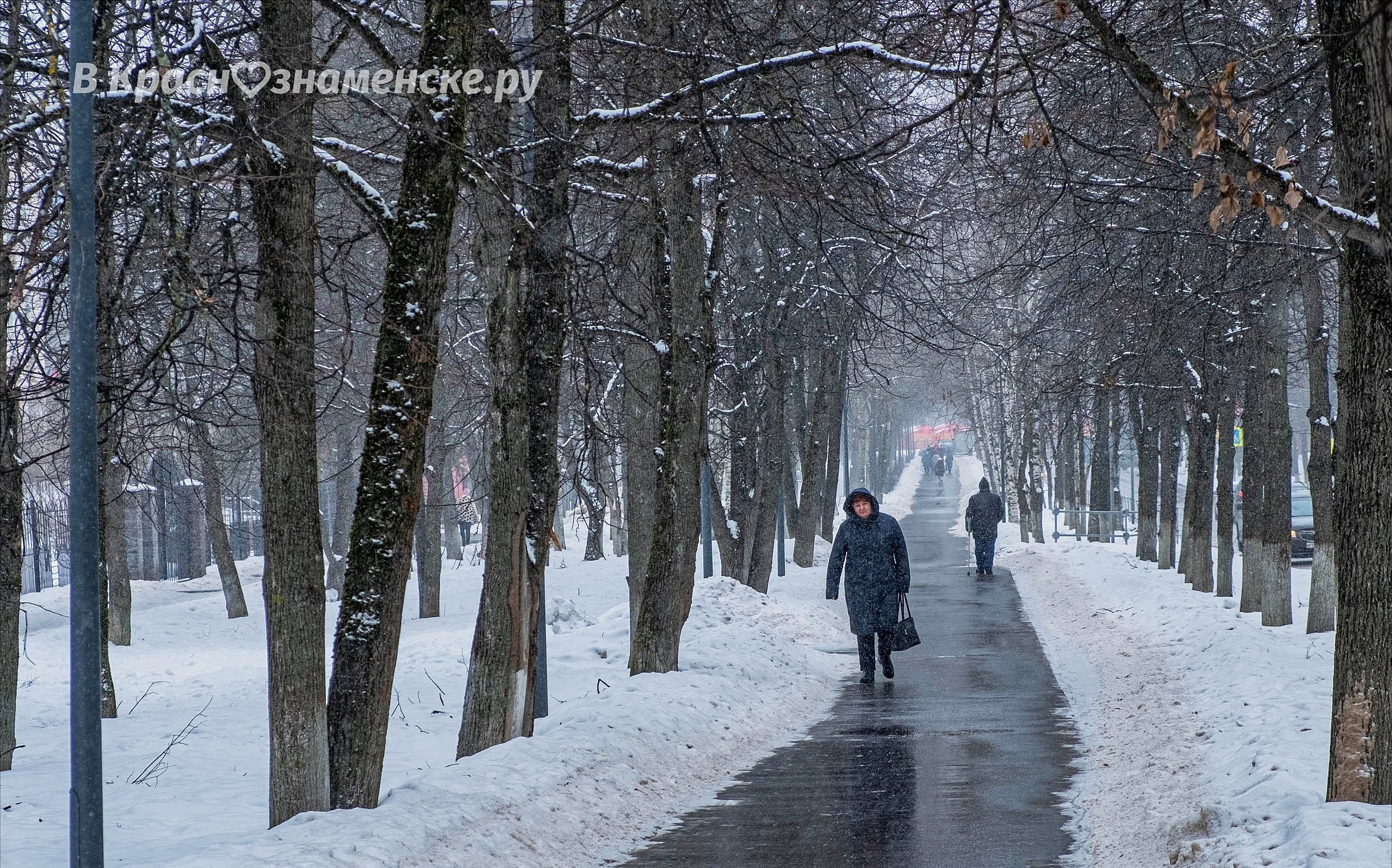 Прогулка по, хоть пока и бессолнечным, но очень атмосферным — Краснознаменск
