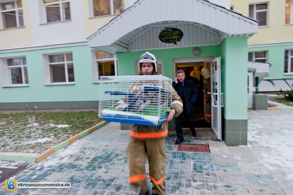 Быстрое меню — Краснознаменск