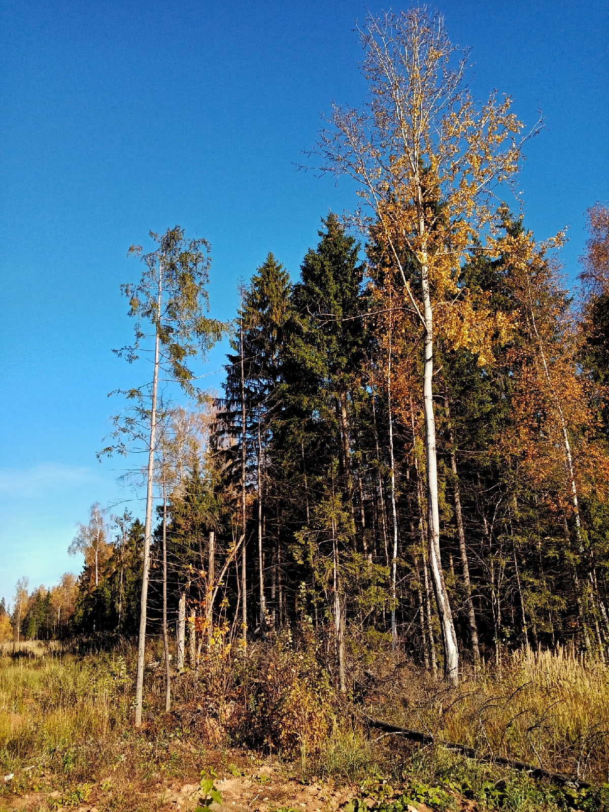 Воскресное утро в Краснознаменске.