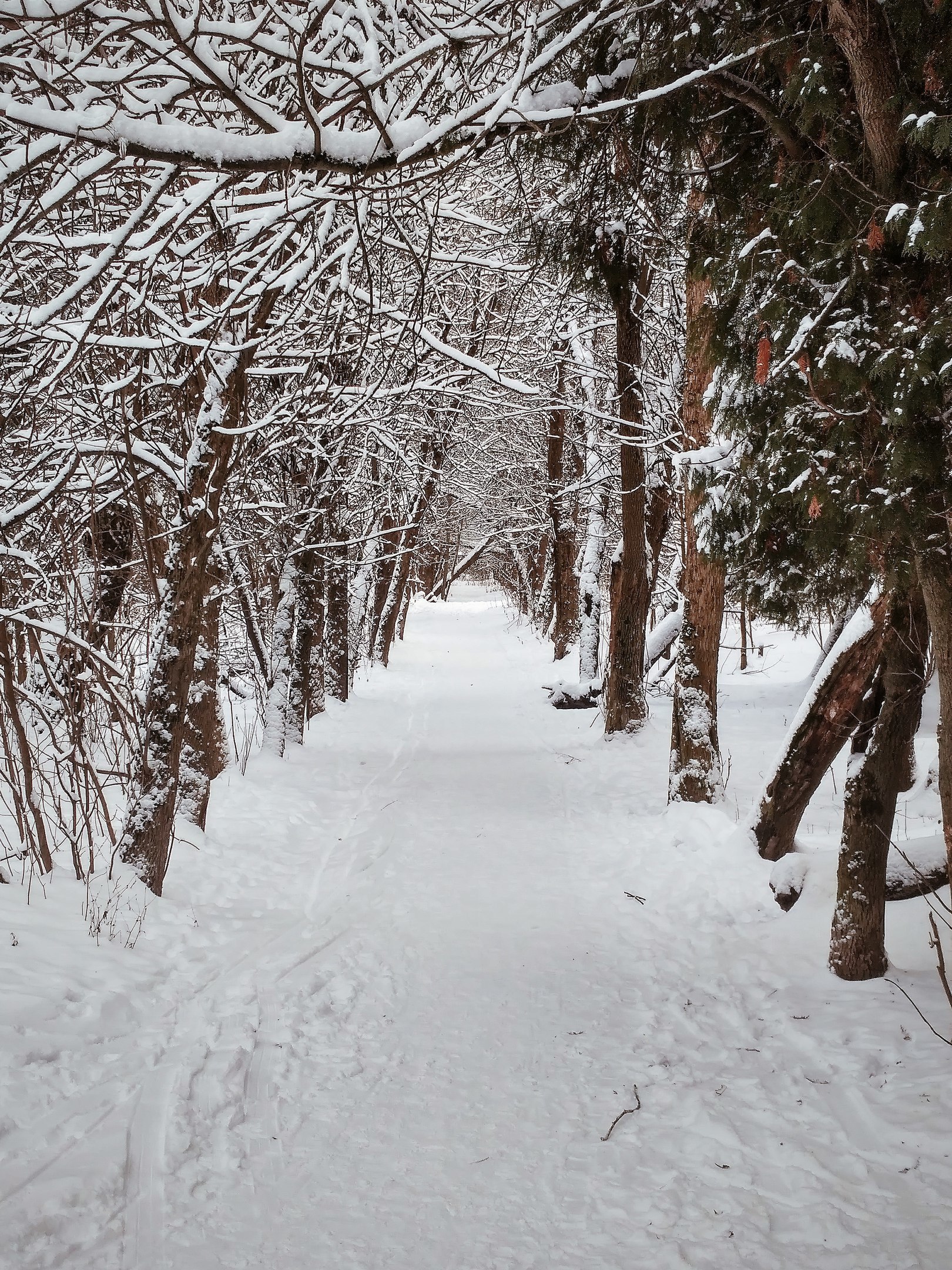 Волшебное время ❄️ Фото Мария Ильяшенко — Краснознаменск