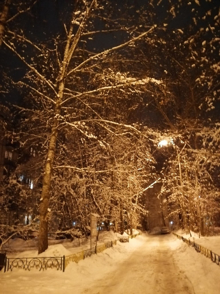фото: Lydmilka Simple — Краснознаменск