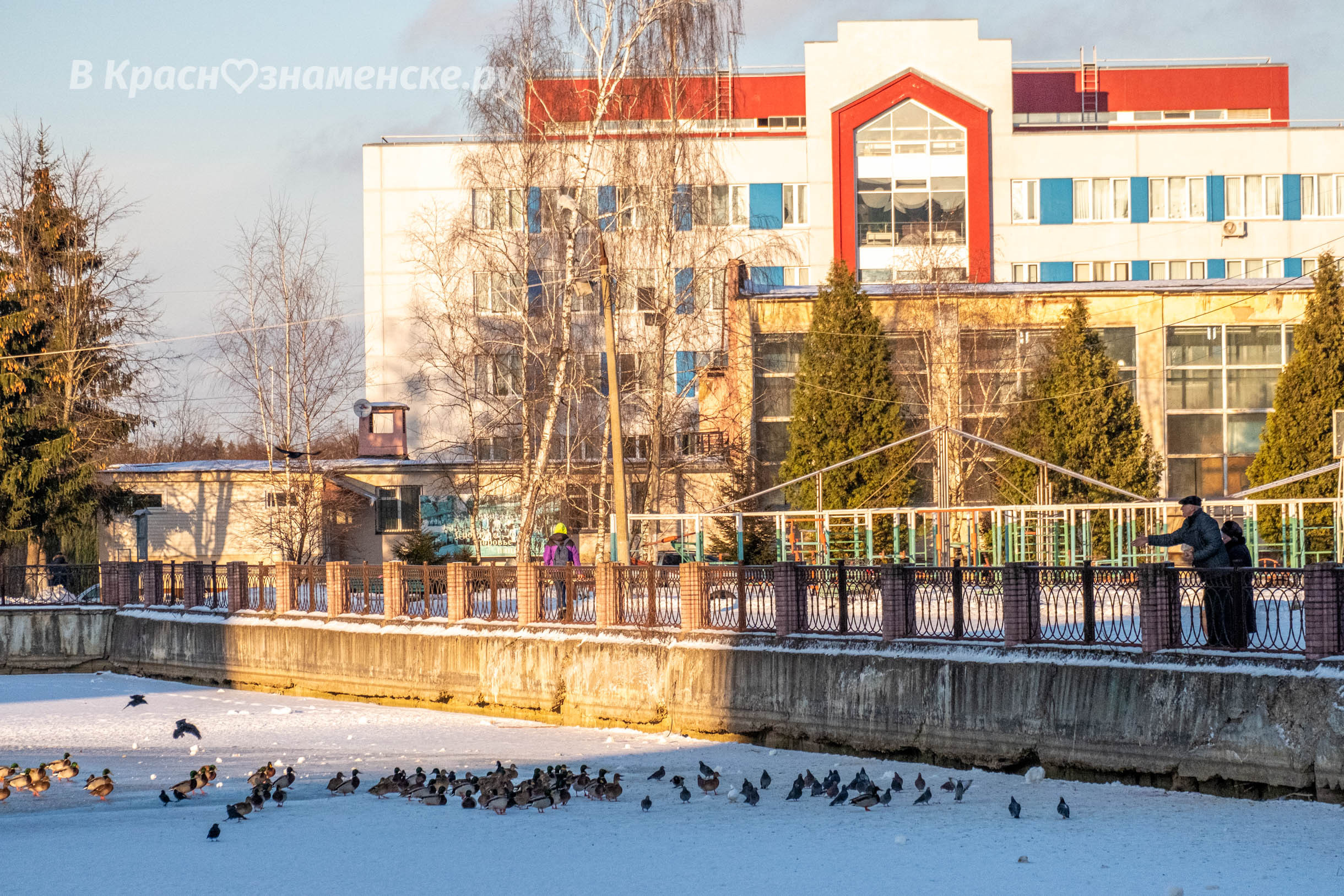 Фото 8283 — Краснознаменск