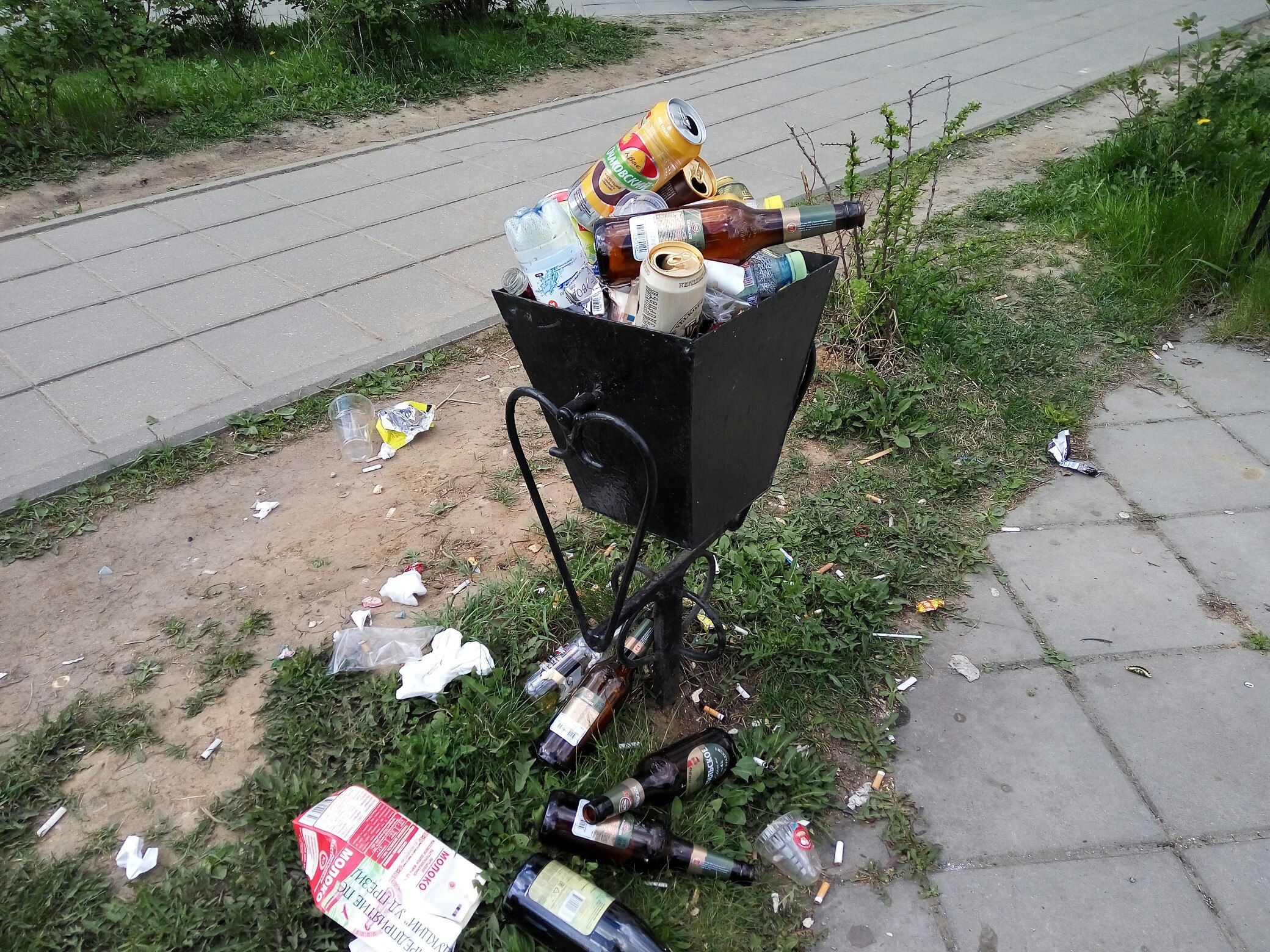 У нас всегда было так живописно в местах для отдыха? Или что