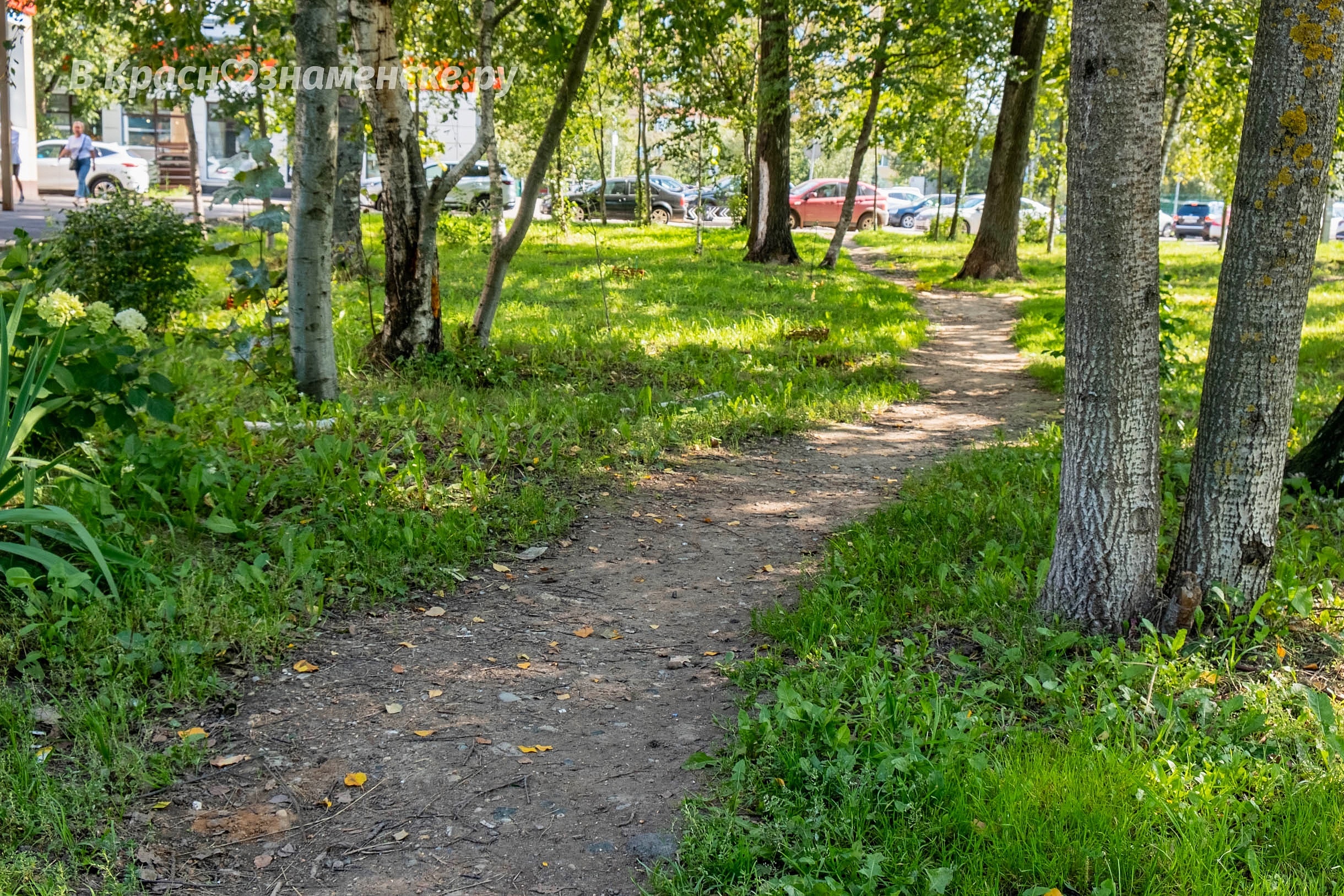 Тропинки, которые хотелось бы заасфальтировать — Краснознаменск