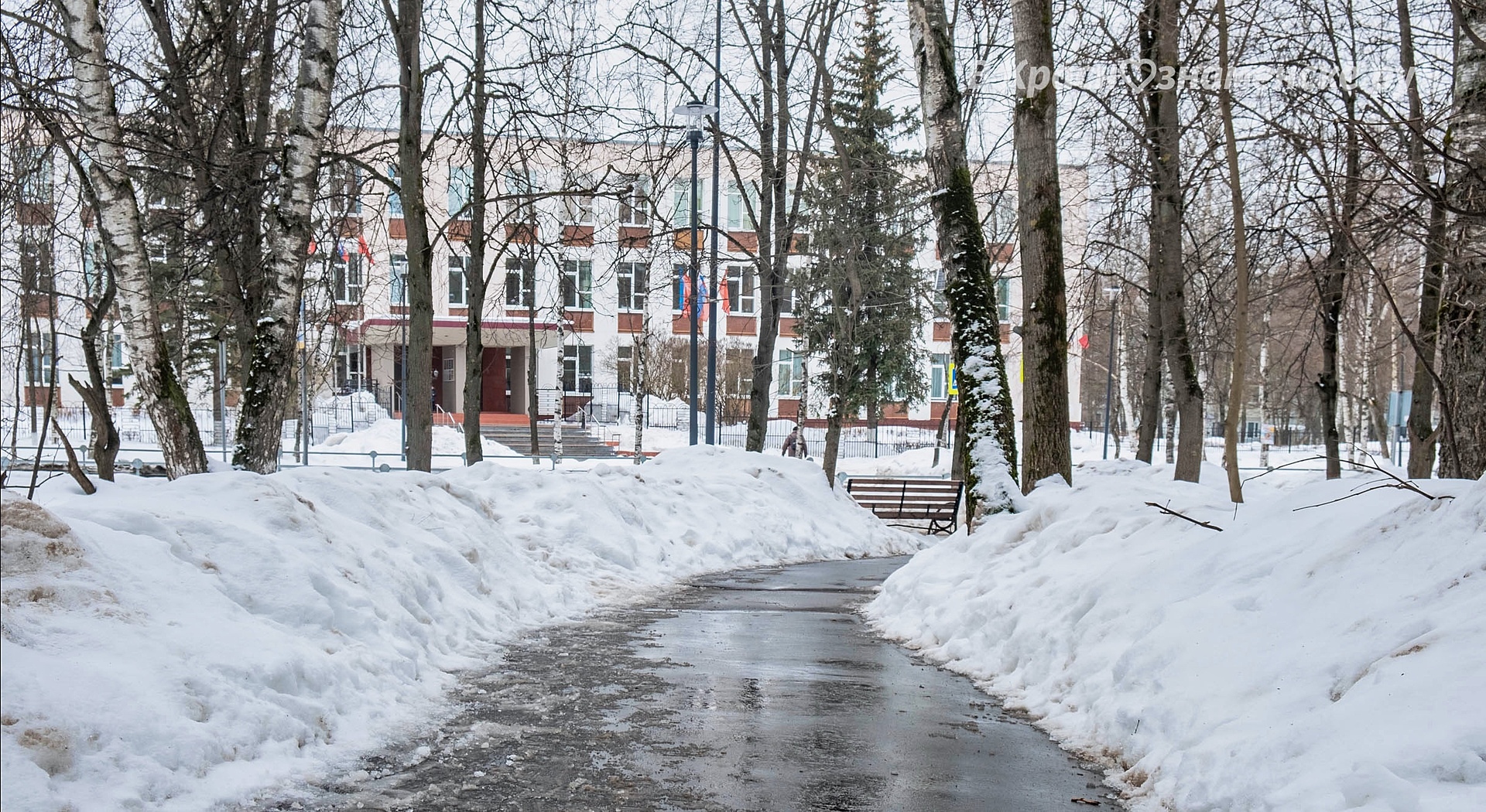 Прогулка по улицам Краснознаменска